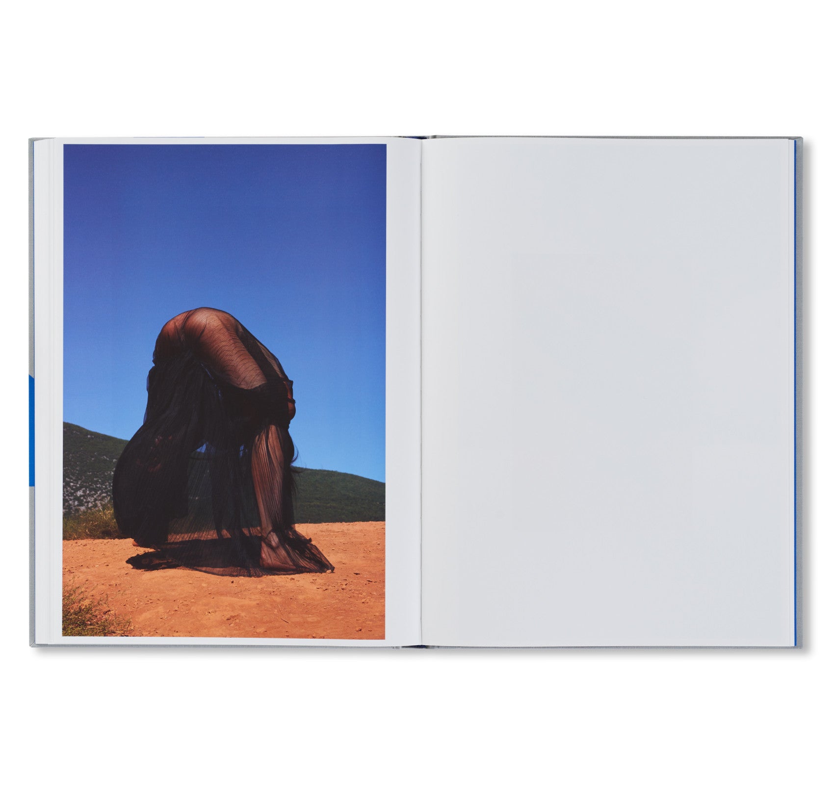 ROXANE II by Viviane Sassen [FIRST EDITION]