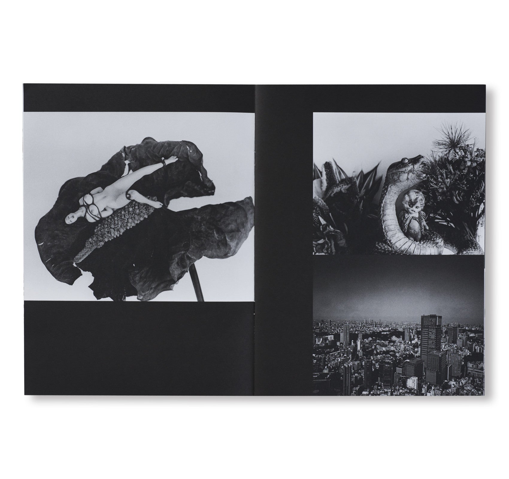 TOMBEAU TOKYO by Nobuyoshi Araki