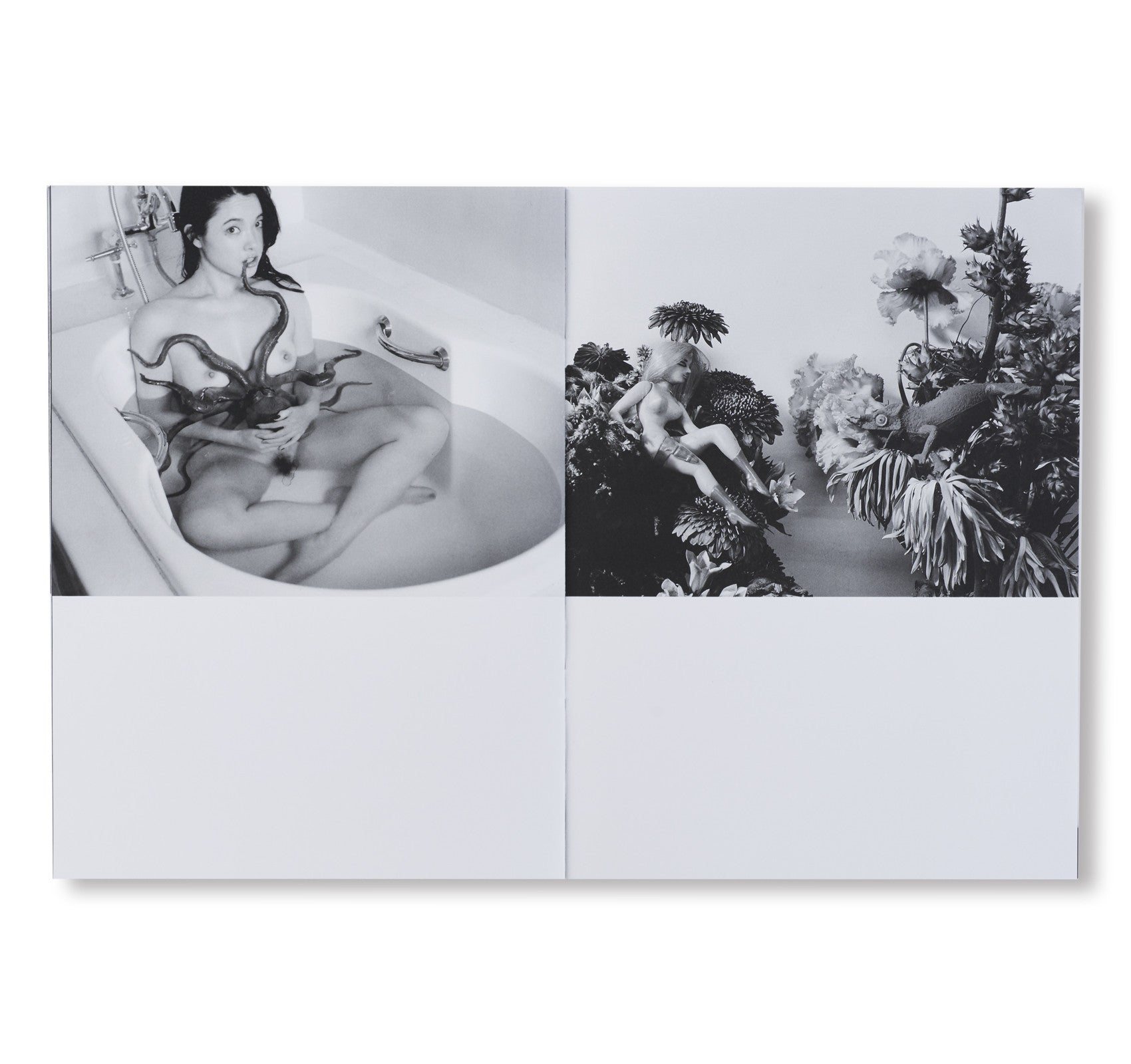 TOMBEAU TOKYO by Nobuyoshi Araki