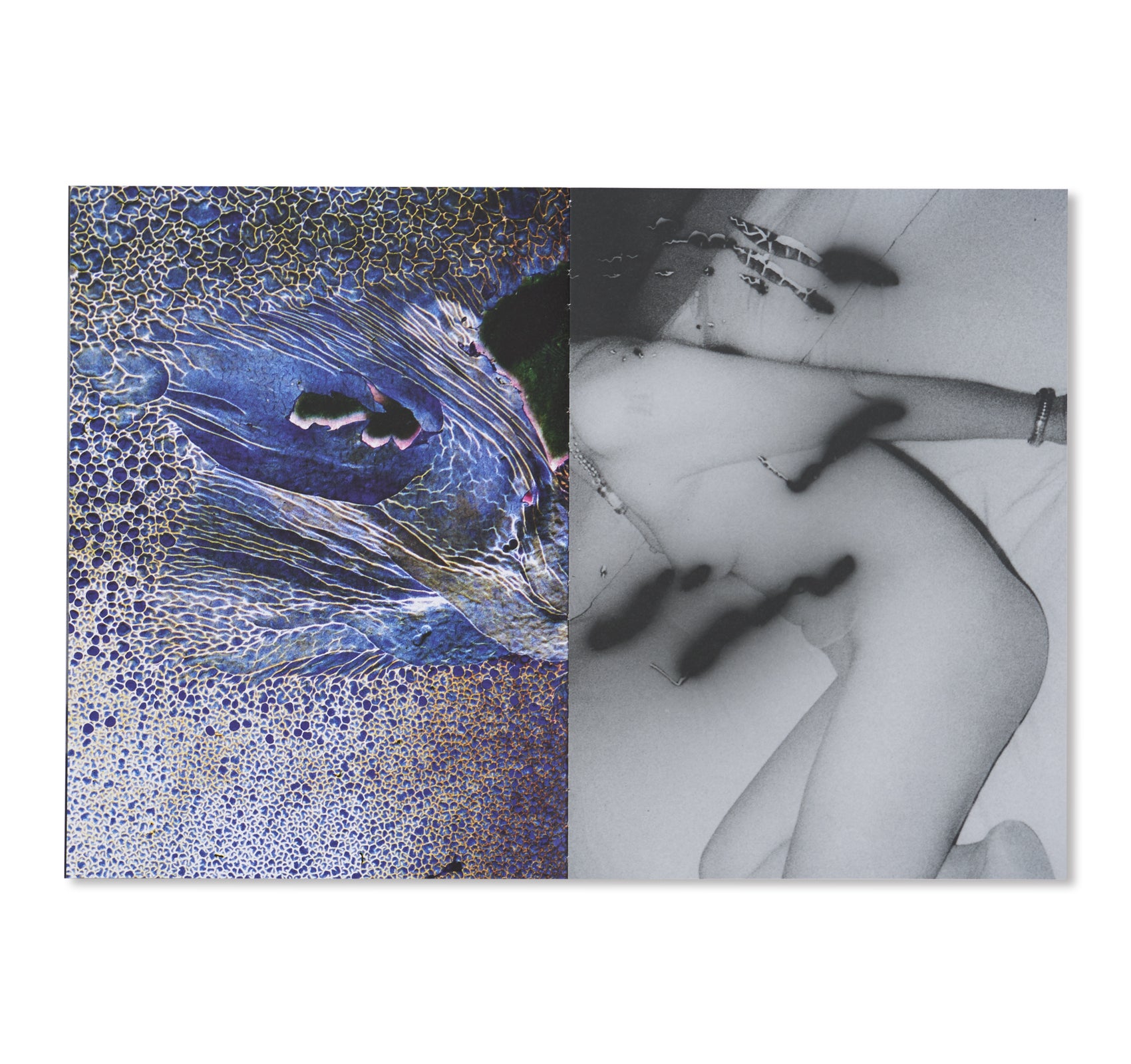 3AM by AM projects [SIGNED BY DAISUKE YOKOTA & HIROSHI TAKIZAWA]