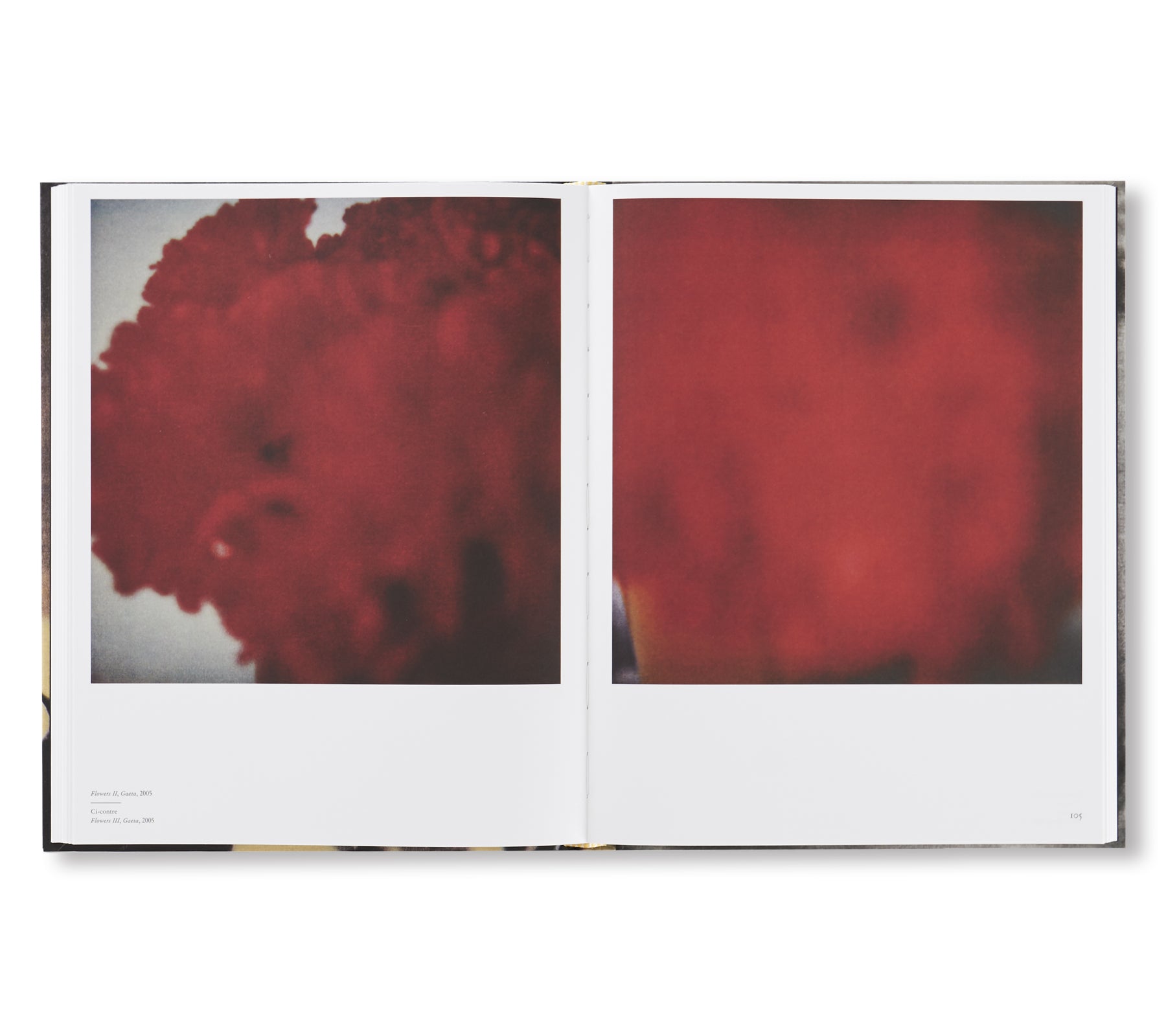 LE TEMPS RETROUVÉ CY TWOMBLY PHOTOGRAPHE ET ARTISTES INVITÉS  by Cy Twombly