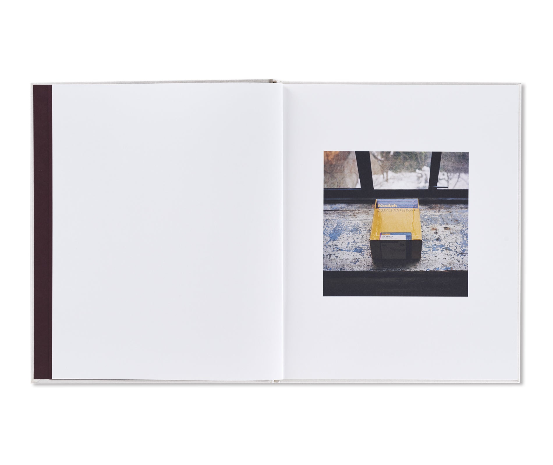 SAUL LEITER by François Halard [SECOND EDITION]