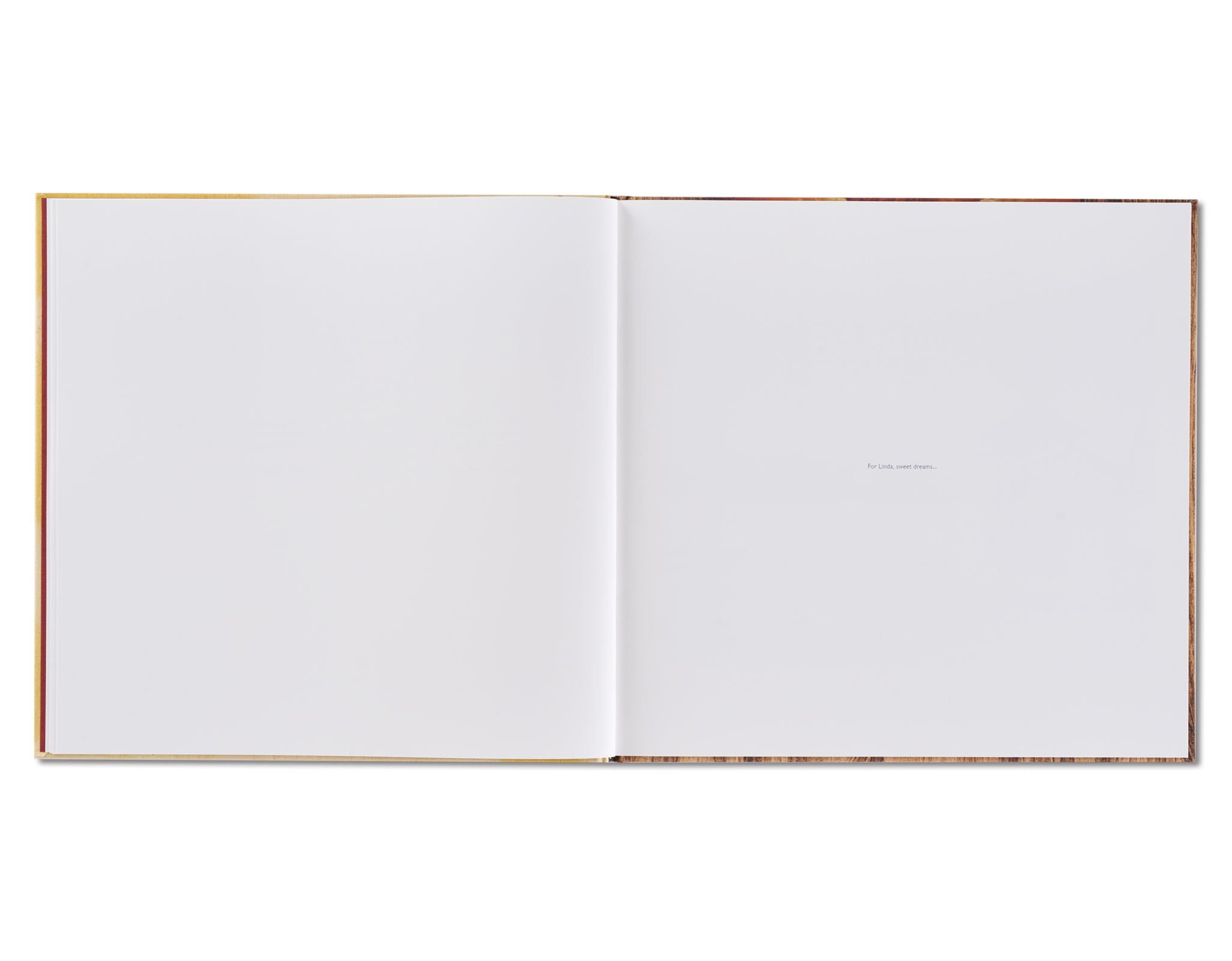 SLEEPING BY THE MISSISSIPPI by Alec Soth [SPECIAL EDITION]