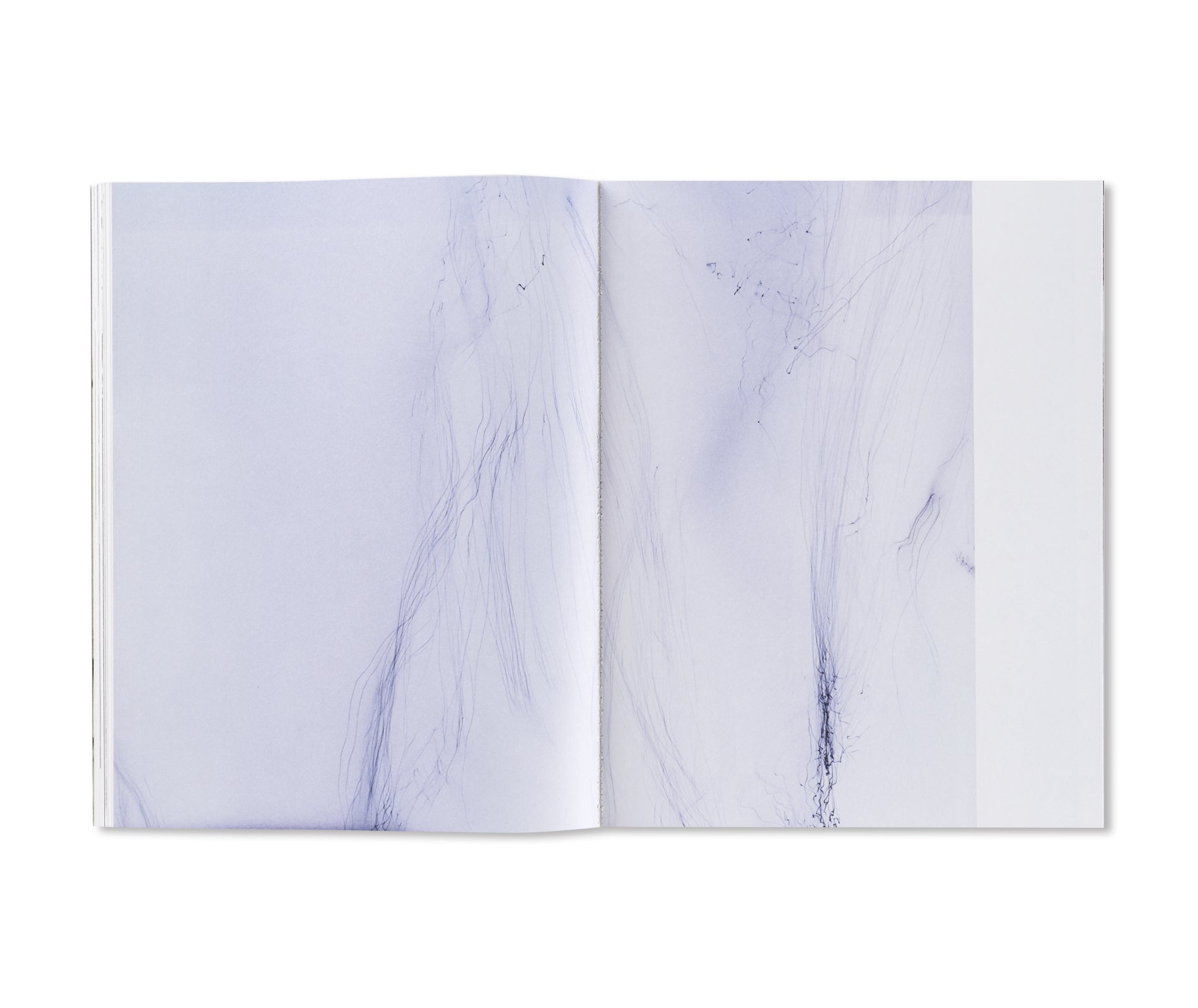 WOLFGANG TILLMANS by Wolfgang Tillmans