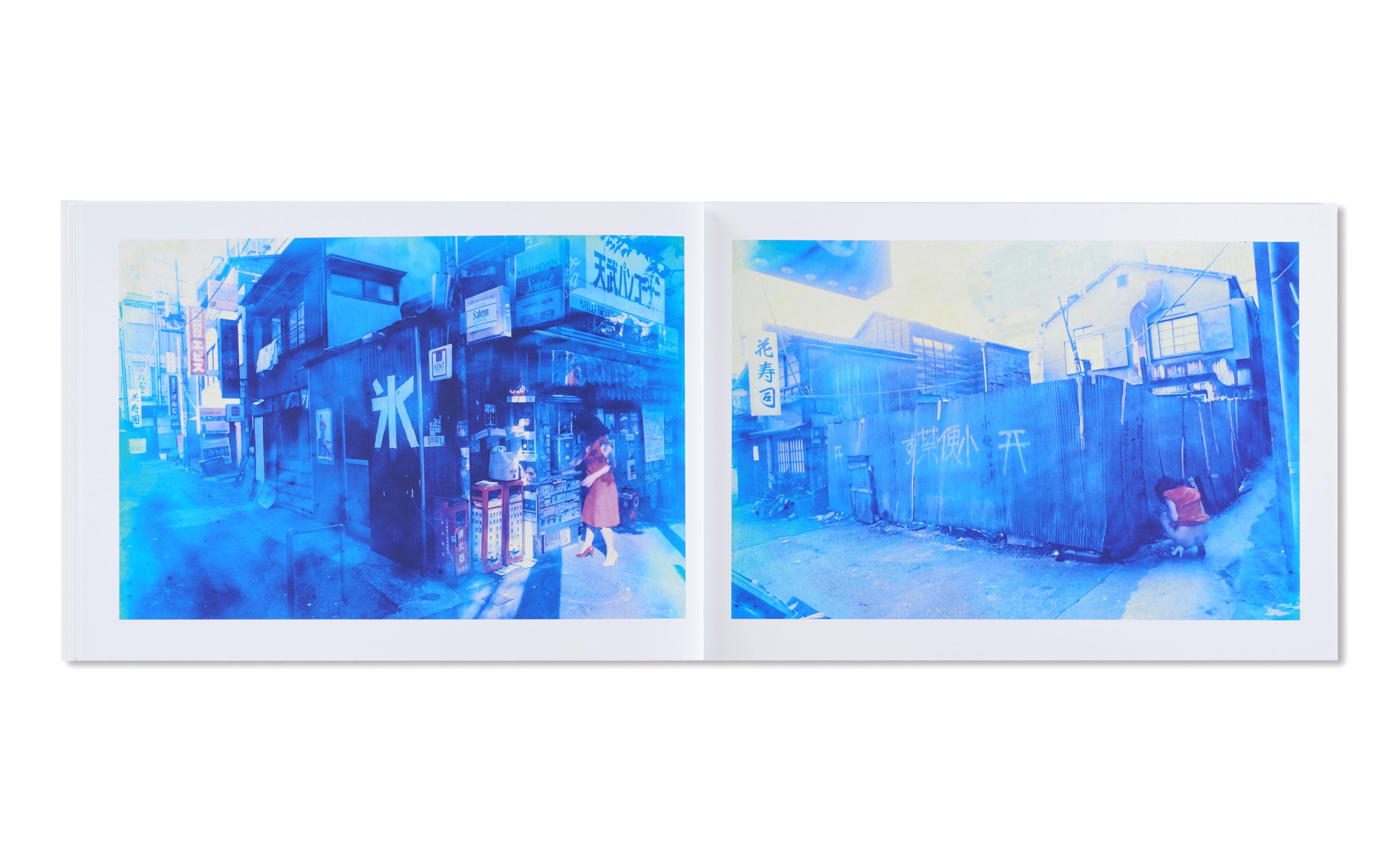 BLUE PERIOD / LAST SUMMER : ARAKINEMA  青ノ時代／去年ノ夏：アラキネマ by Nobuyoshi Araki [JAPAN EDITION]