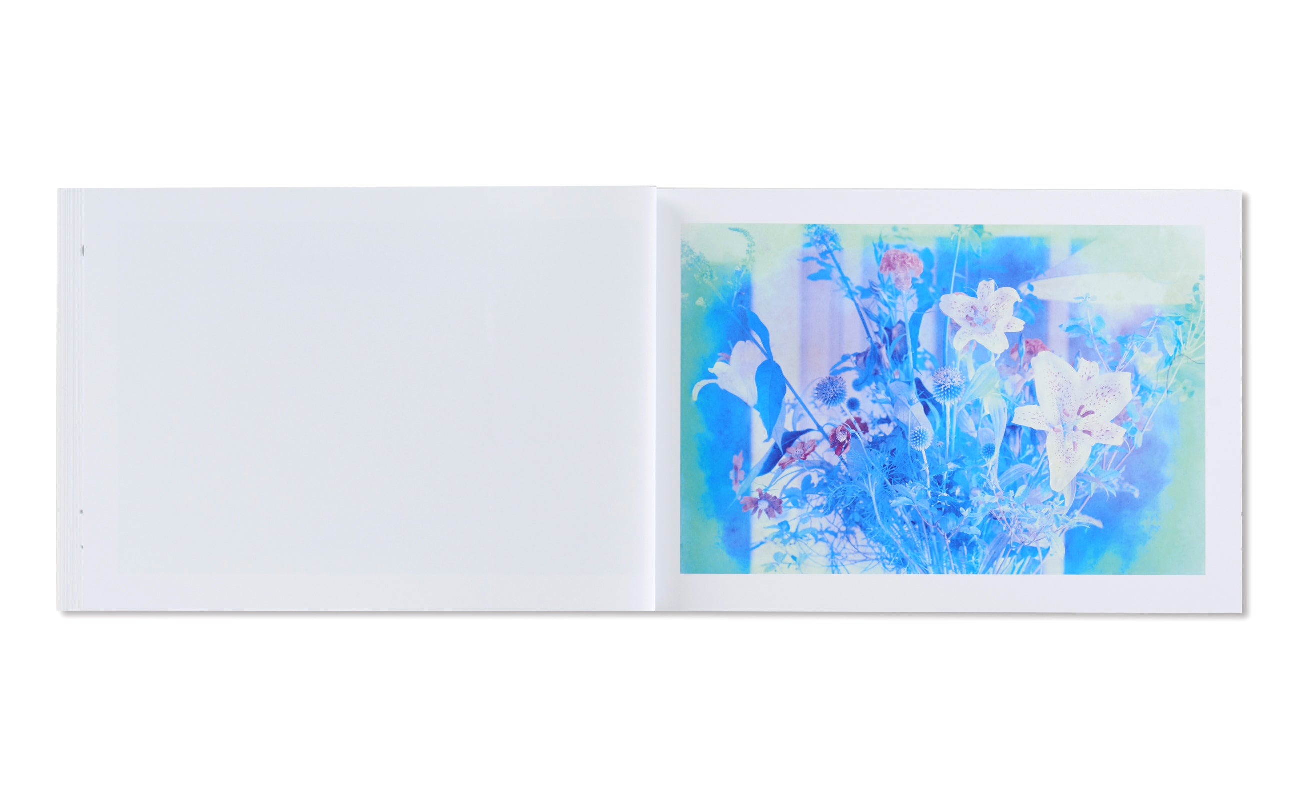 BLUE PERIOD / LAST SUMMER : ARAKINEMA  青ノ時代／去年ノ夏：アラキネマ by Nobuyoshi Araki [JAPAN EDITION]