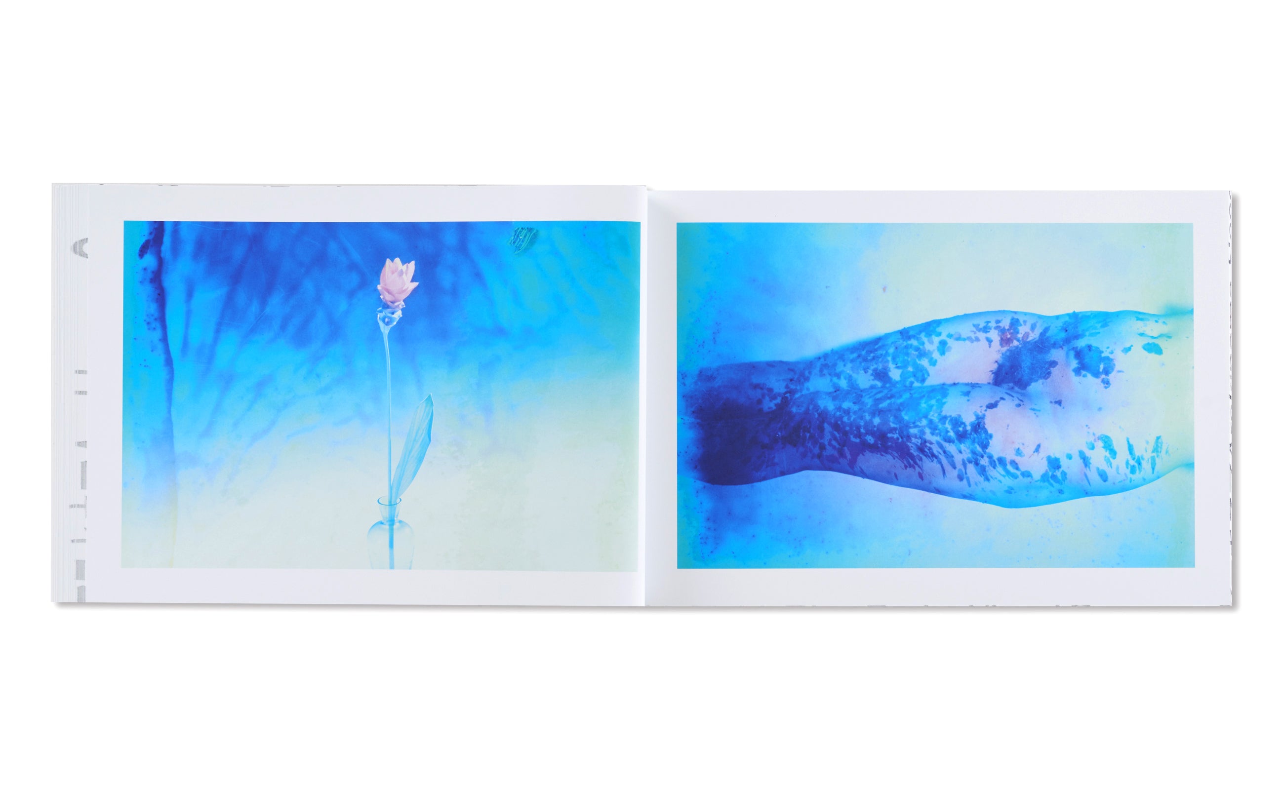 BLUE PERIOD / LAST SUMMER : ARAKINEMA  青ノ時代／去年ノ夏：アラキネマ by Nobuyoshi Araki [JAPAN EDITION]