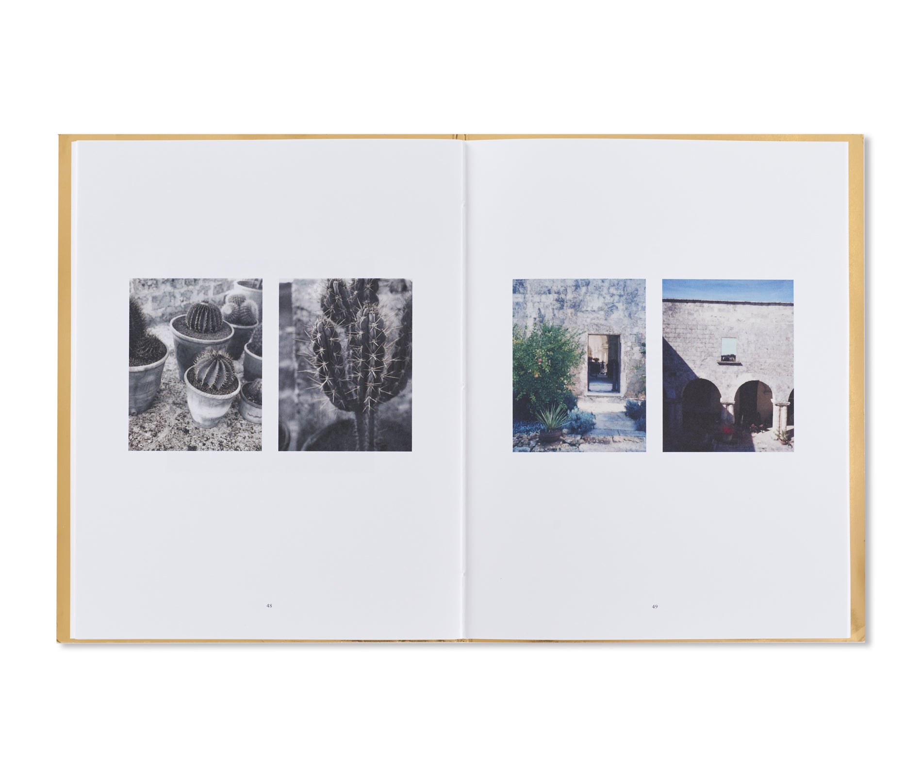 POLAROÏDS ITALIENS by François Halard