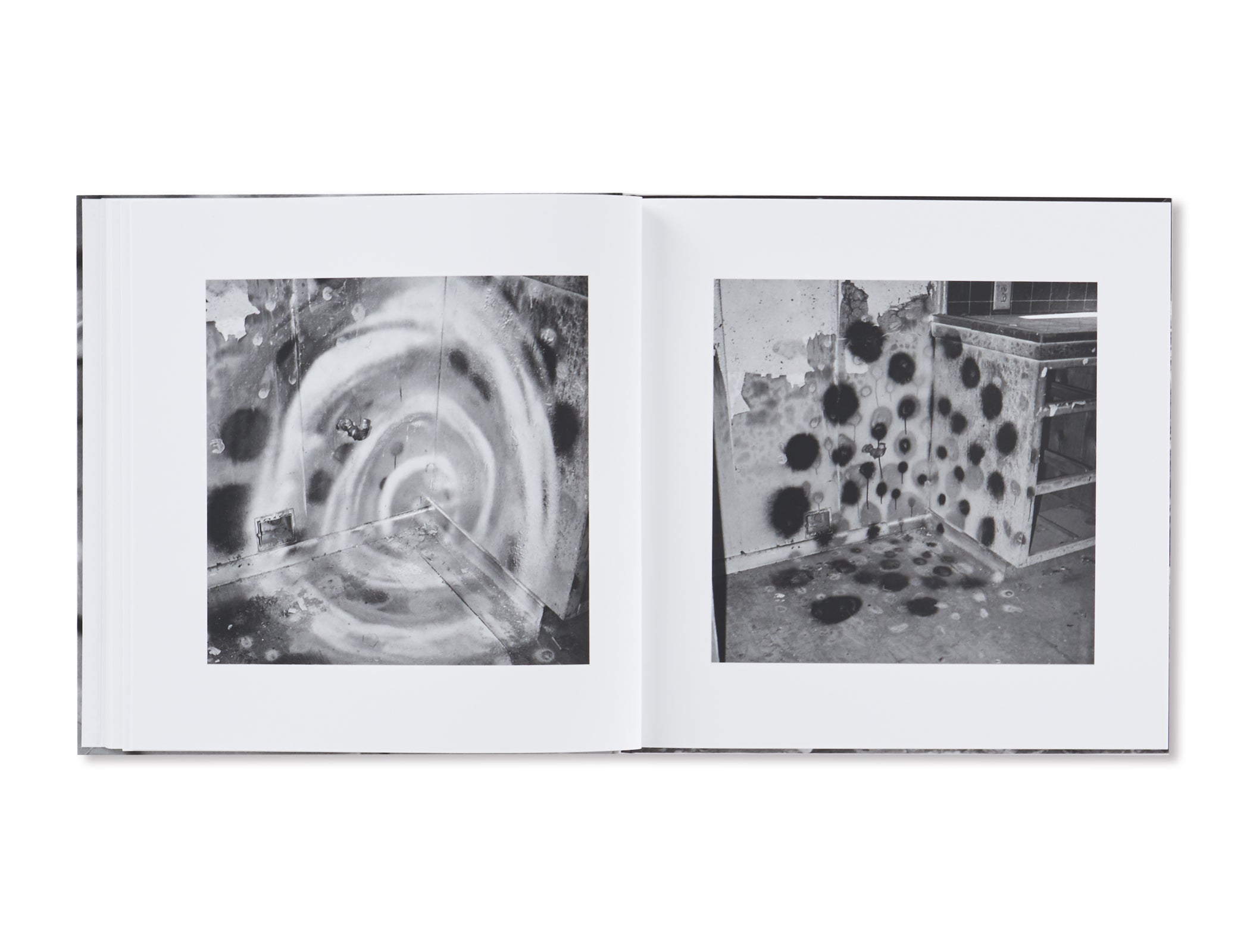 VANDALISM by John Divola [SIGNED]