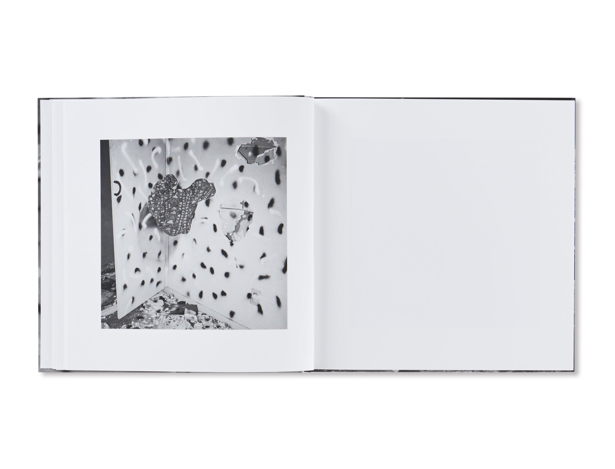 VANDALISM by John Divola [SIGNED]