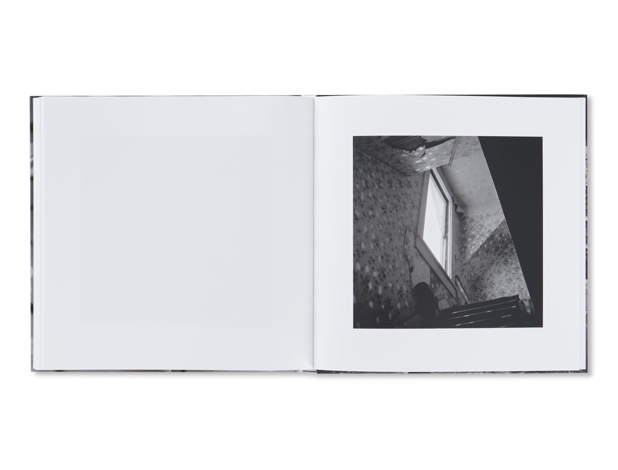 VANDALISM by John Divola [SIGNED]