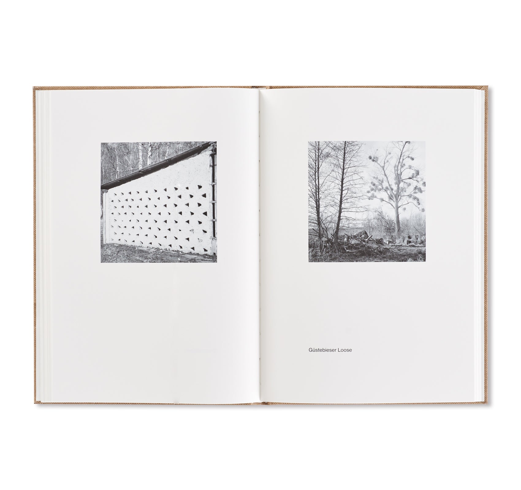 SUPPLEMENT: DEUTSCHLAND by Gerry Johansson  [SIGNED]