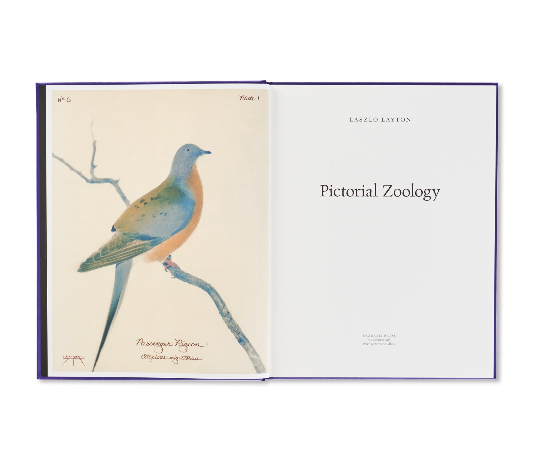 PICTORIAL ZOOLOGY by Laszlo Layton