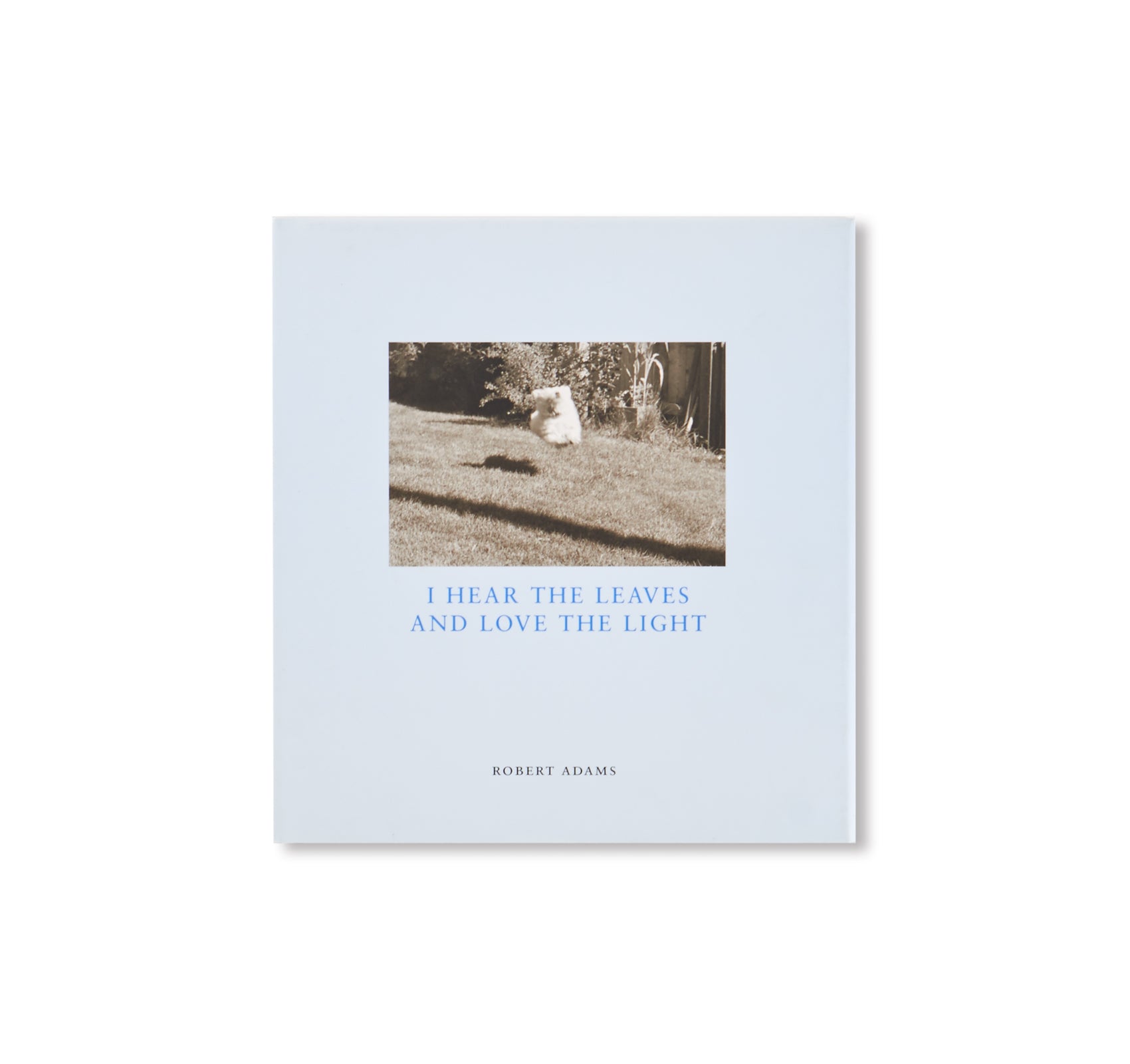 I HEAR THE LEAVES AND LOVE THE LIGHT by Robert Adams