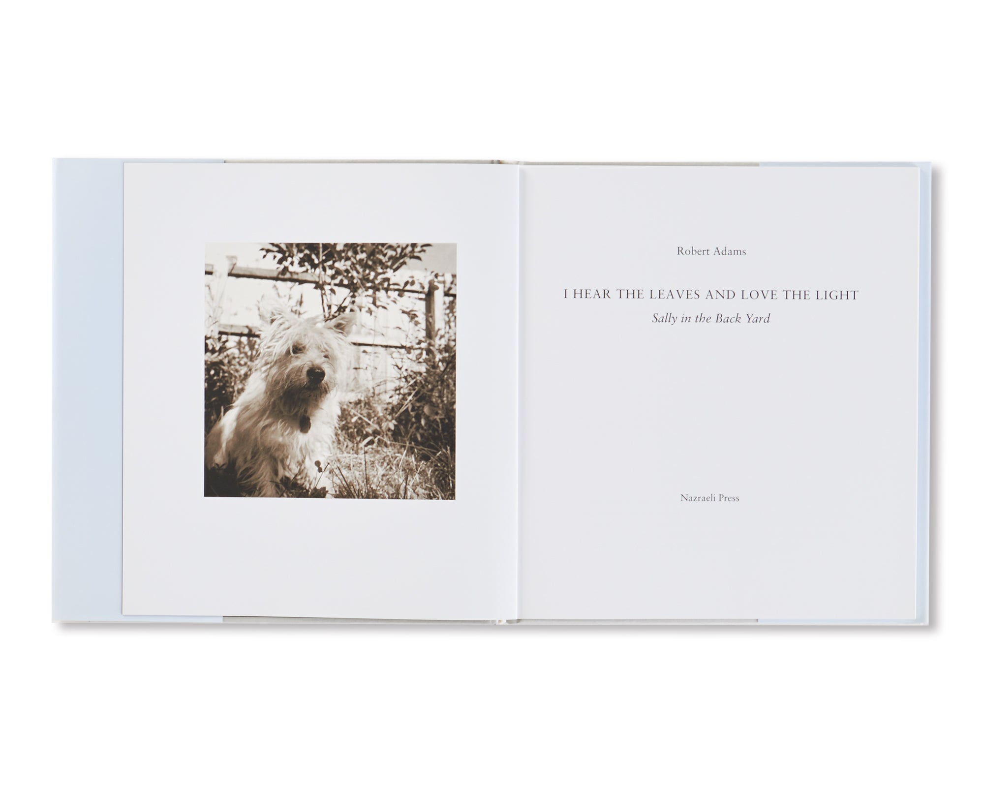 I HEAR THE LEAVES AND LOVE THE LIGHT by Robert Adams [SIGNED]