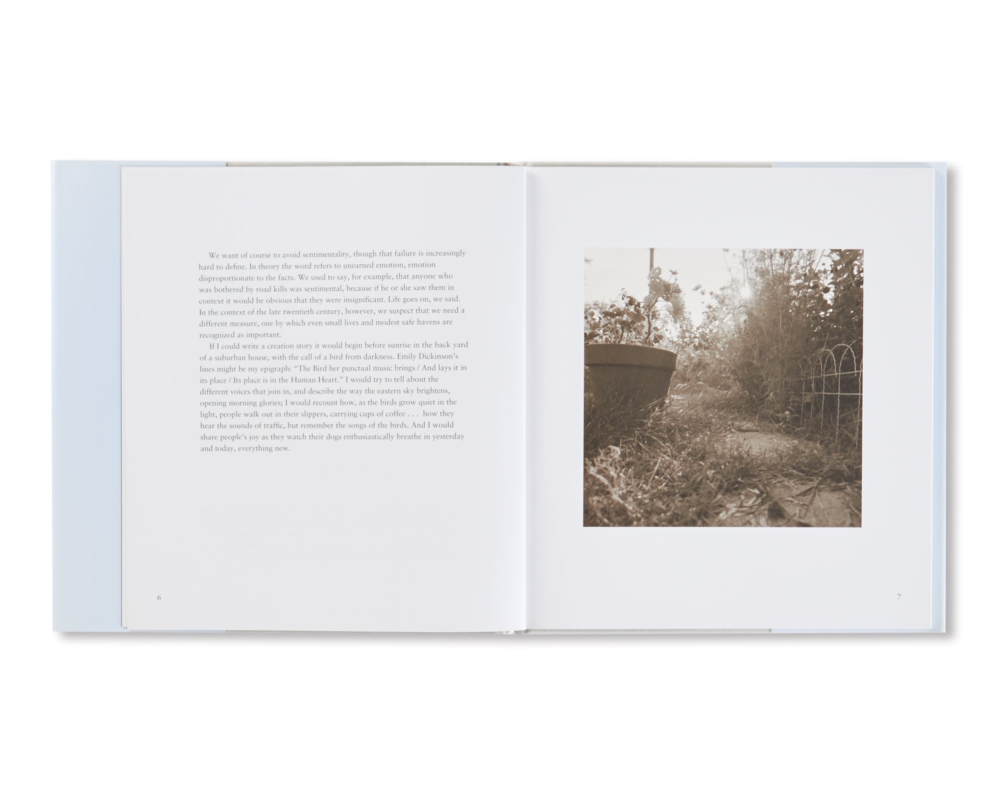 I HEAR THE LEAVES AND LOVE THE LIGHT by Robert Adams [SIGNED]