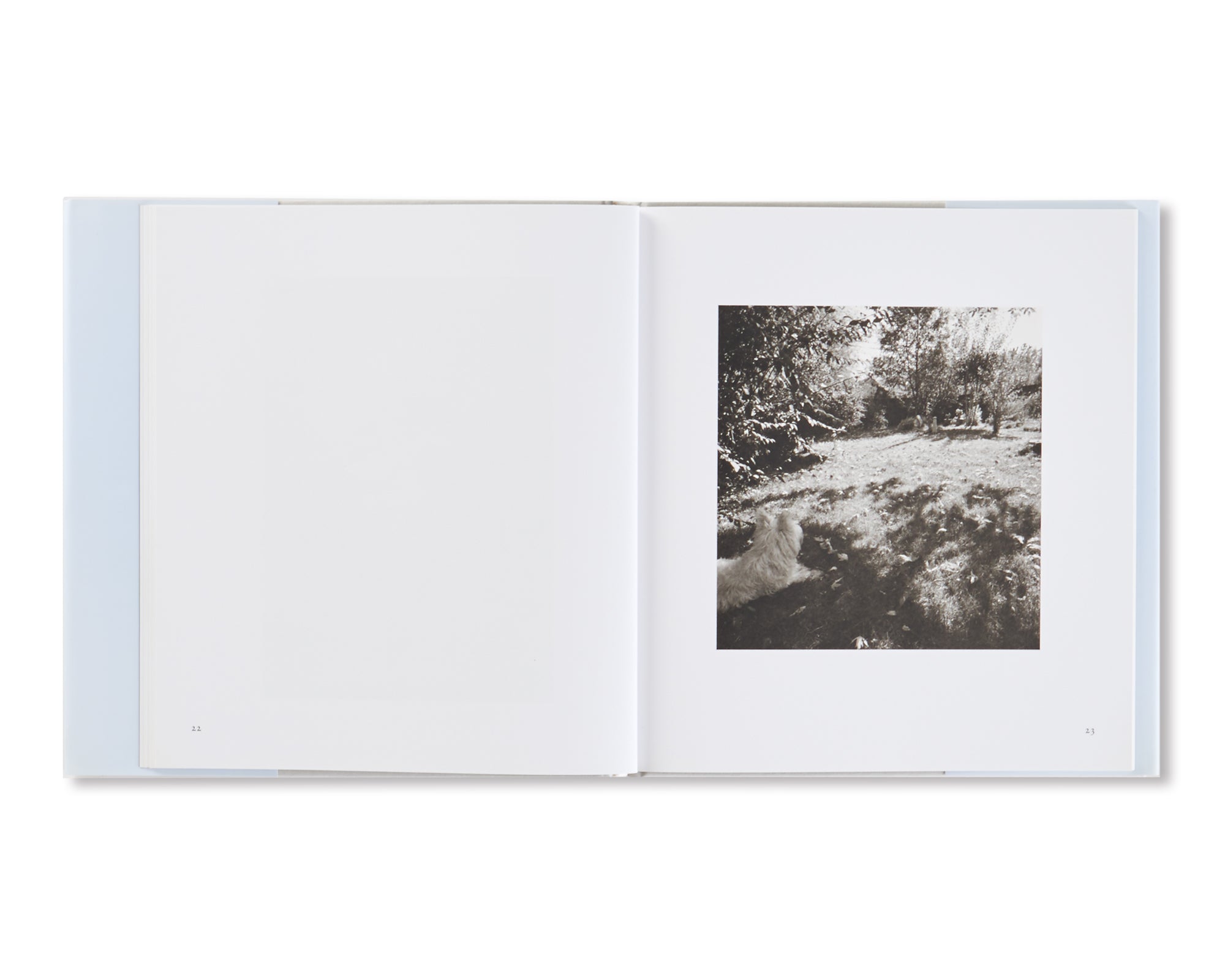 I HEAR THE LEAVES AND LOVE THE LIGHT by Robert Adams [SIGNED]