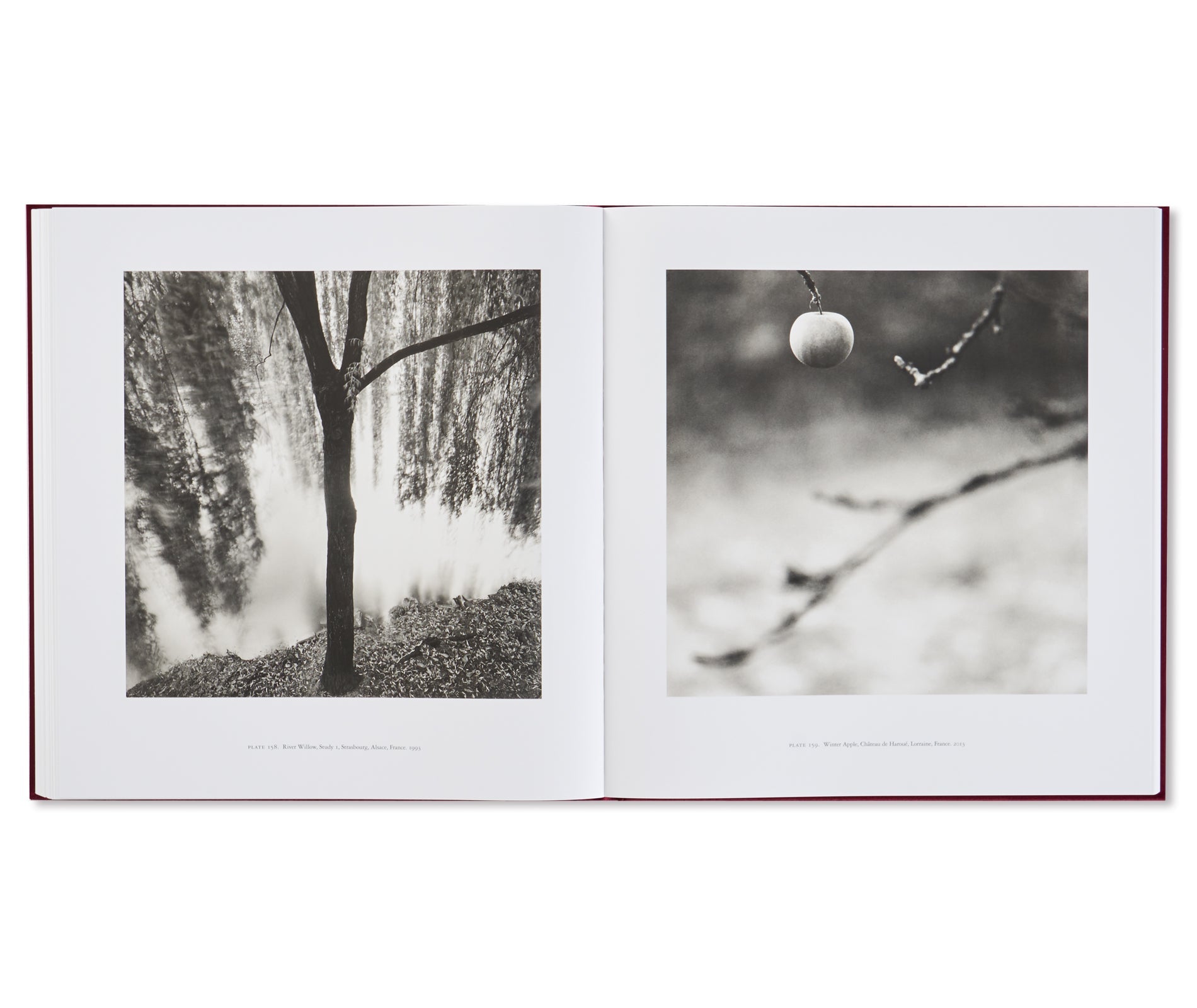 FRANCE by Michael Kenna [SPECIAL EDITION]