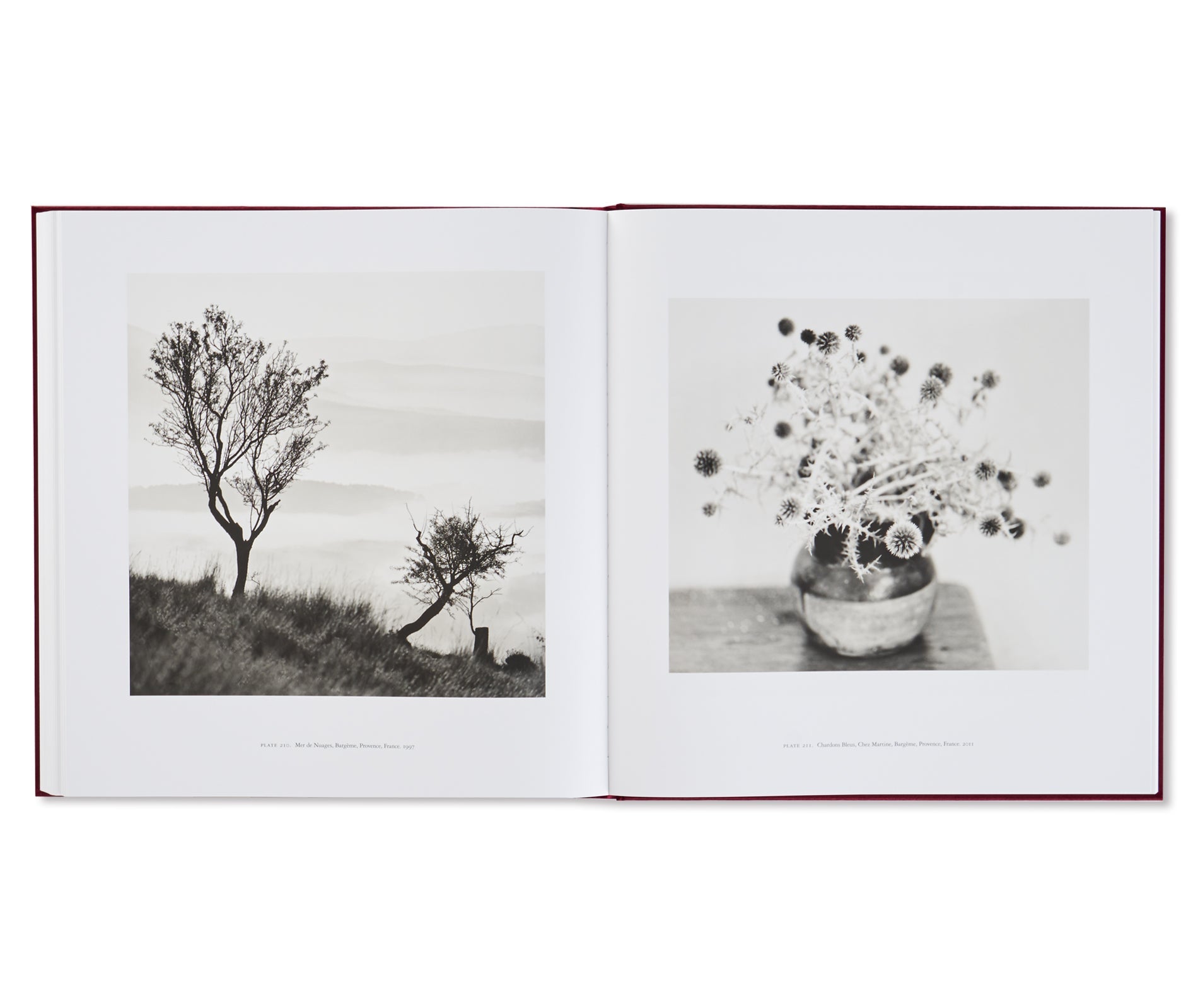 FRANCE by Michael Kenna [SPECIAL EDITION]