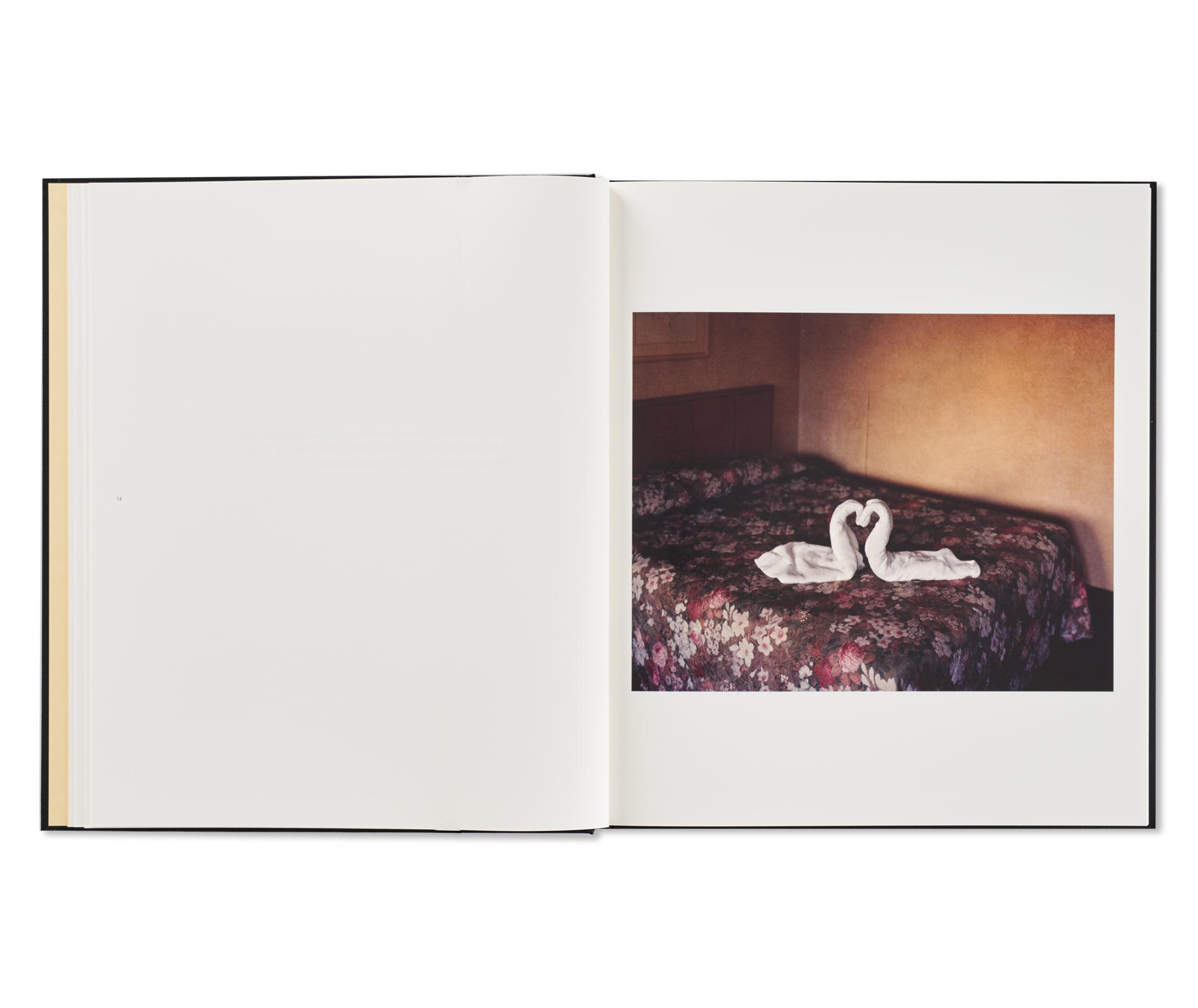 NIAGARA by Alec Soth [FIRST EDITION, SECOND PRINTING / SIGNED]