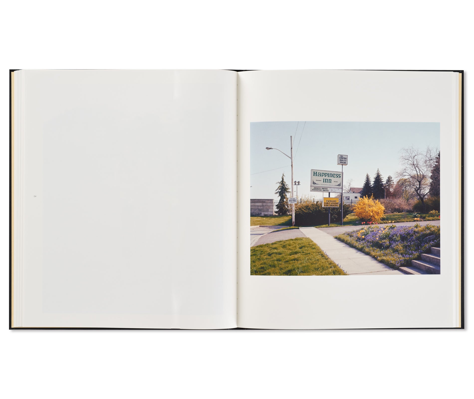 NIAGARA by Alec Soth [FIRST EDITION, SECOND PRINTING / SIGNED]