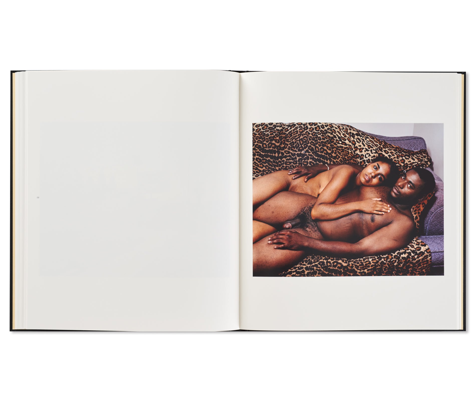 NIAGARA by Alec Soth [SPECIAL EDITION]