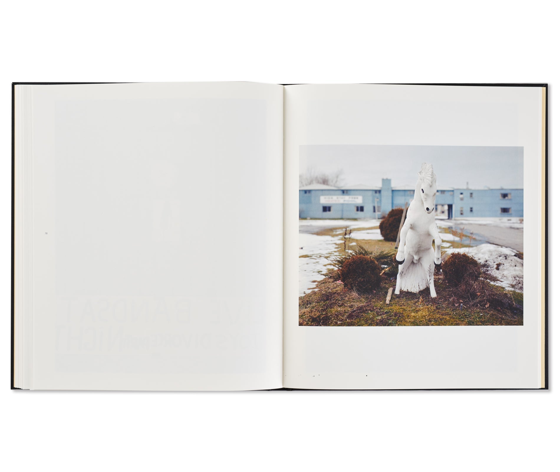 NIAGARA by Alec Soth [FIRST EDITION, SECOND PRINTING]