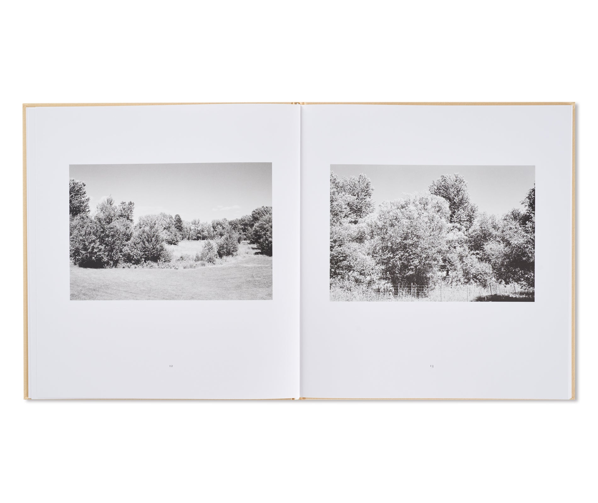 PINE VALLEY by Robert Adams