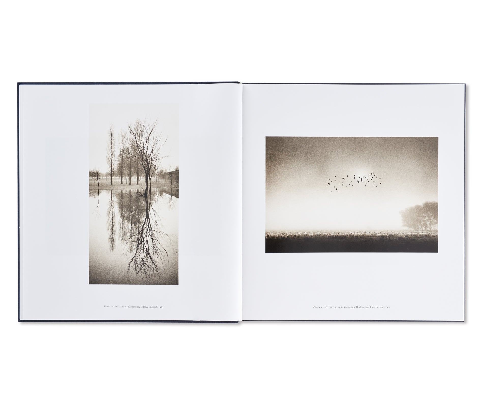 A TWENTY YEAR RETROSPECTIVE by Michael Kenna