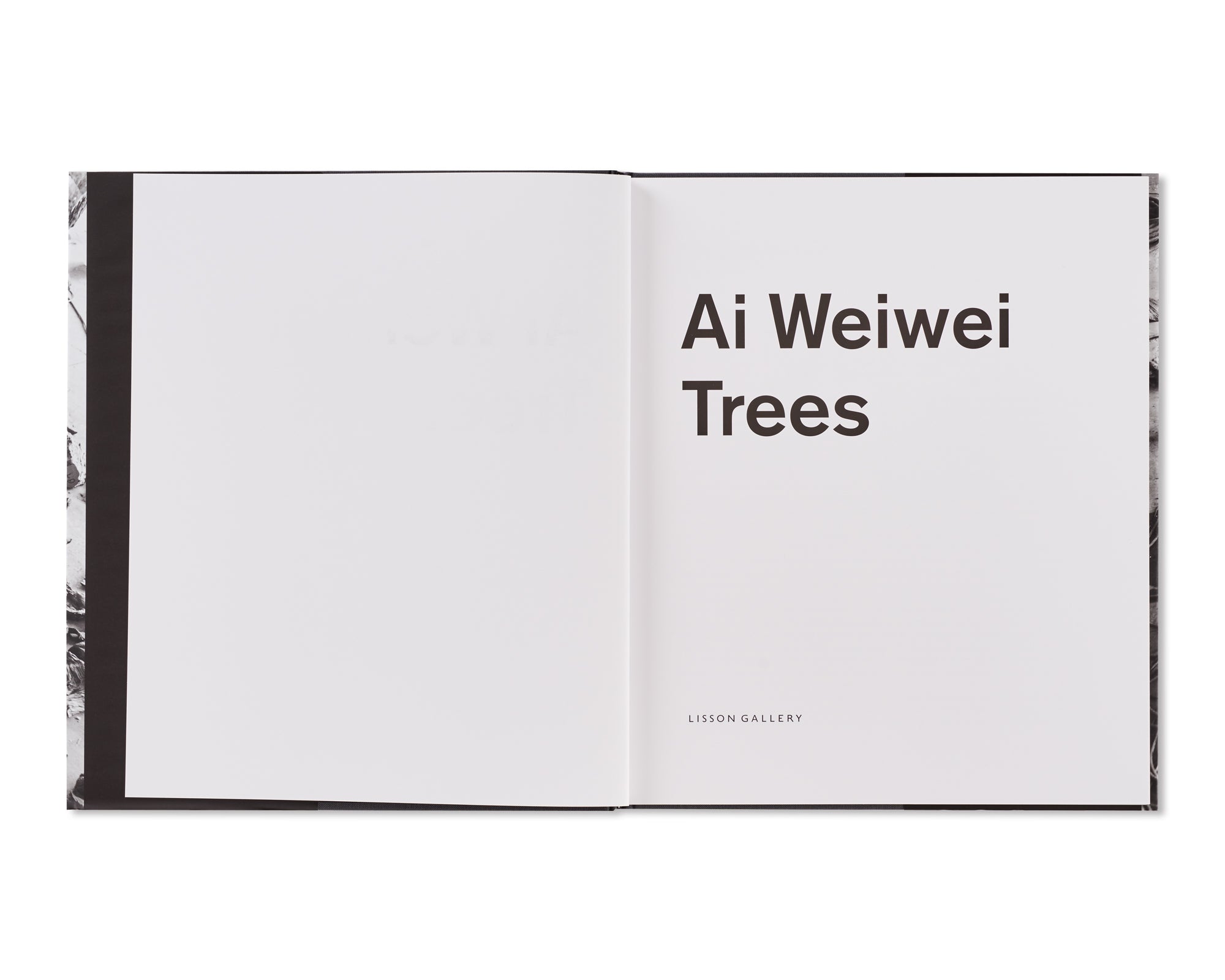 TREES by Ai Weiwei