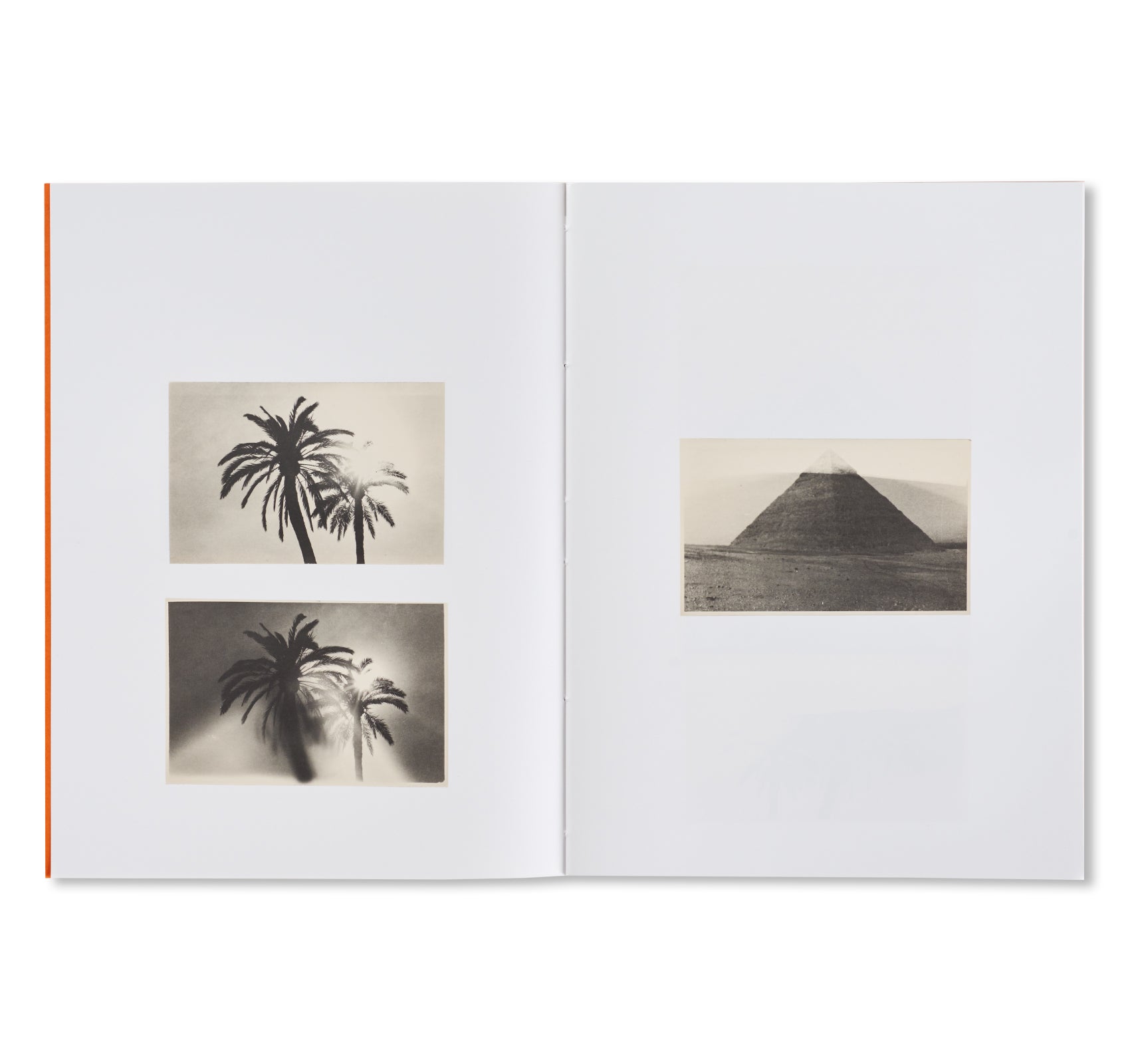 THE PYRAMIDS AND PALM TREES TEST by Bruno V. Roels [SPECIAL EDITION]