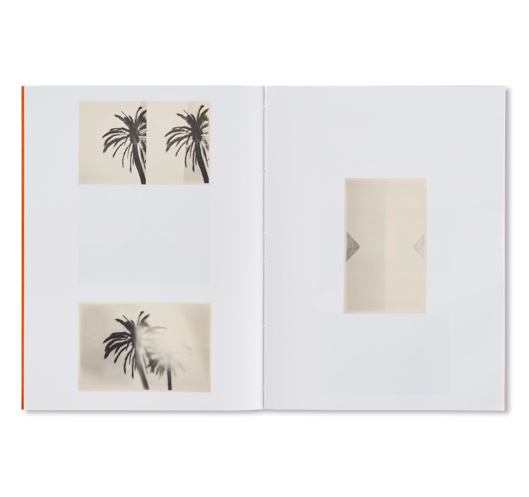 THE PYRAMIDS AND PALM TREES TEST by Bruno V. Roels [SPECIAL EDITION]