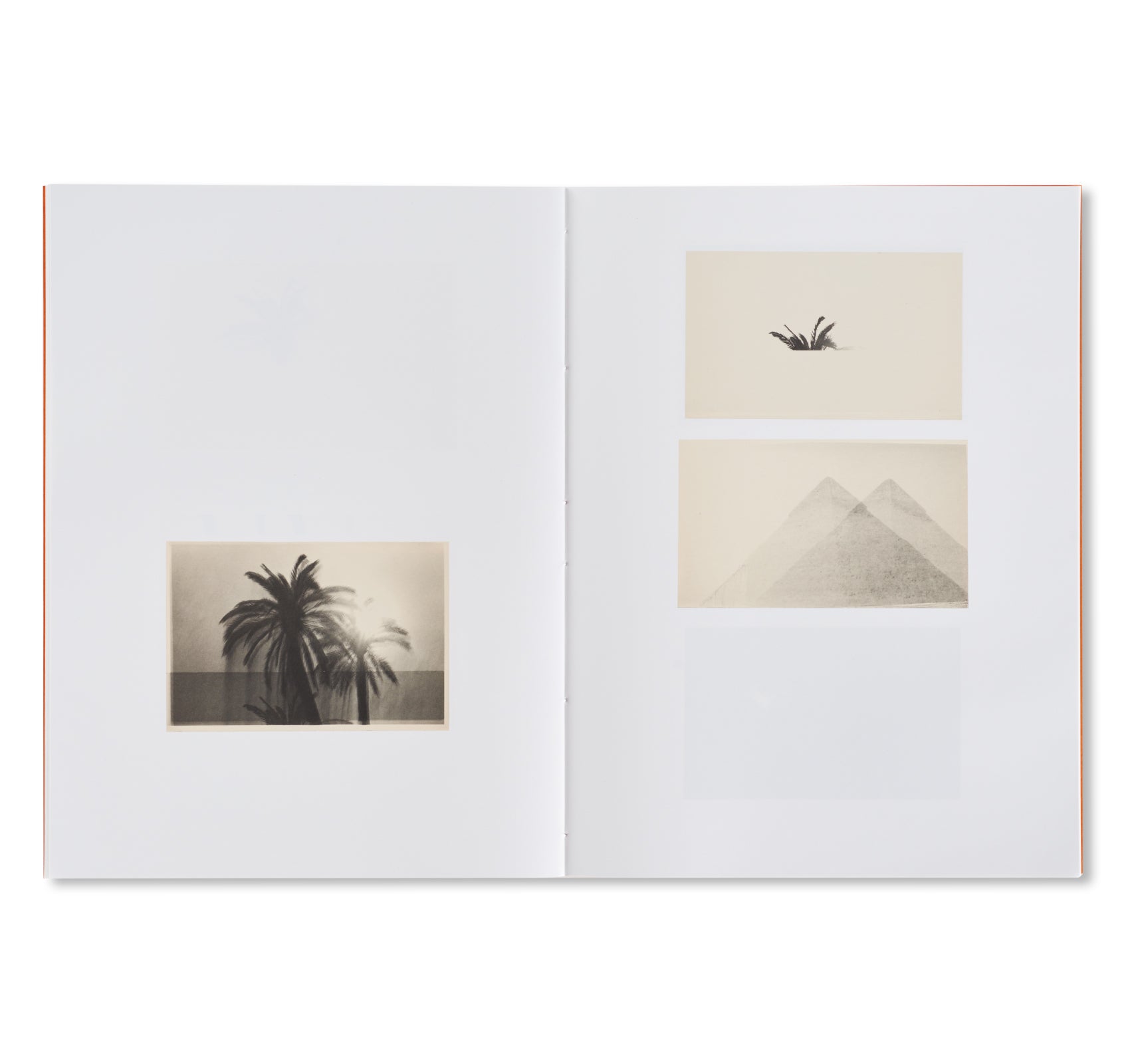 THE PYRAMIDS AND PALM TREES TEST by Bruno V. Roels