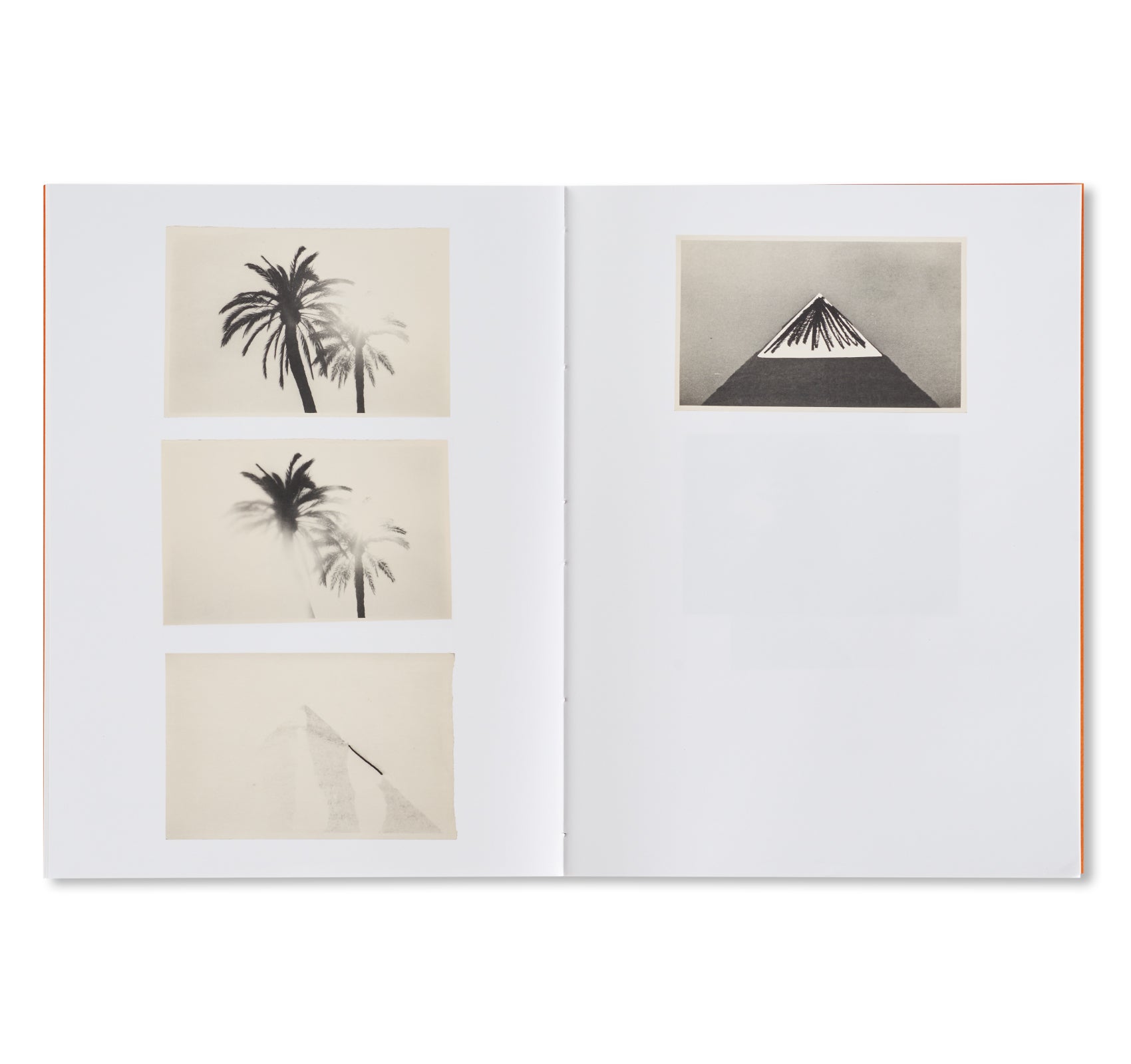 THE PYRAMIDS AND PALM TREES TEST by Bruno V. Roels [SPECIAL EDITION]