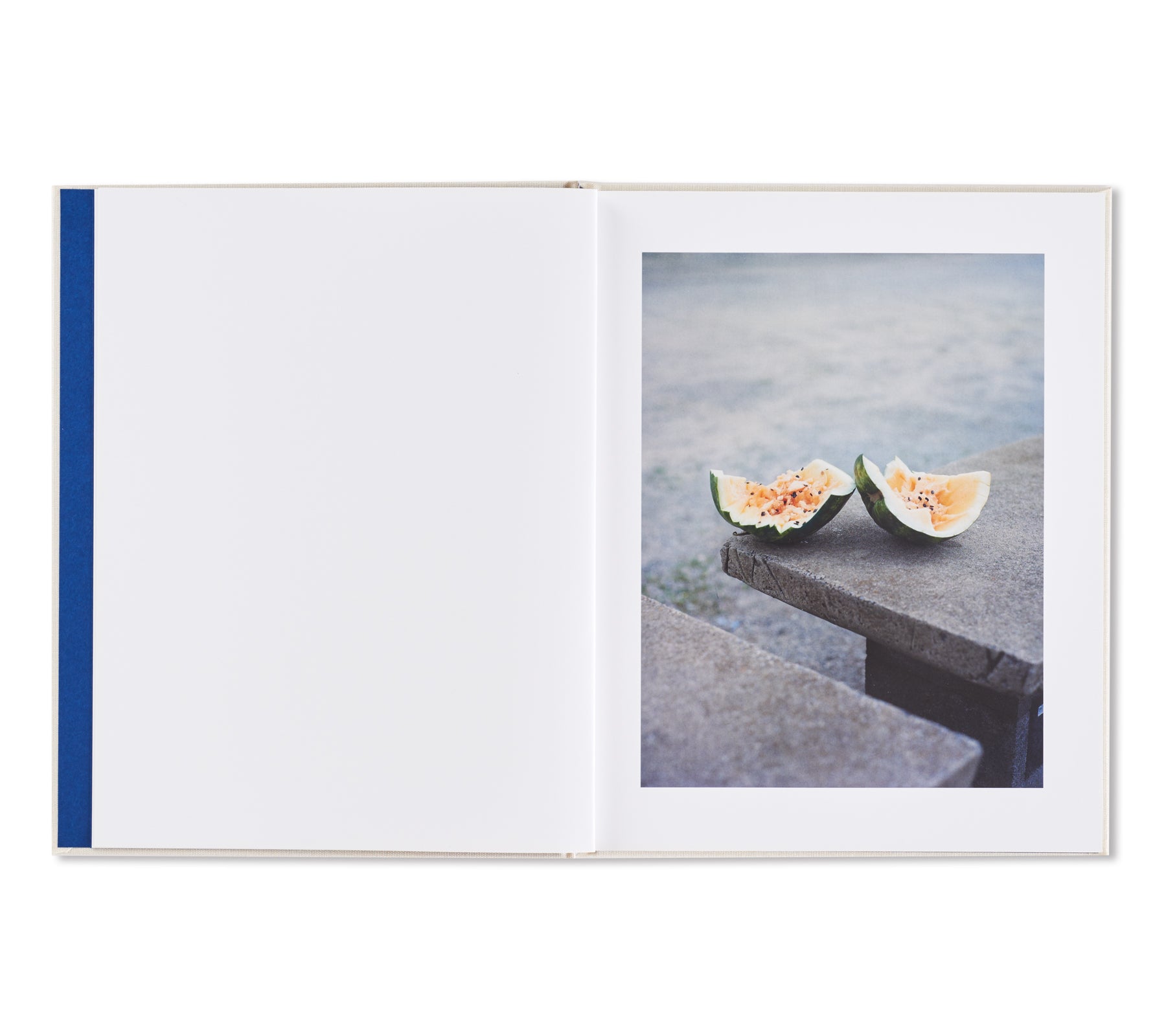 SUBSCRIPTION SERIES #6 by Guido Guidi, Jason Fulford, Gregory Halpern, Viviane Sassen