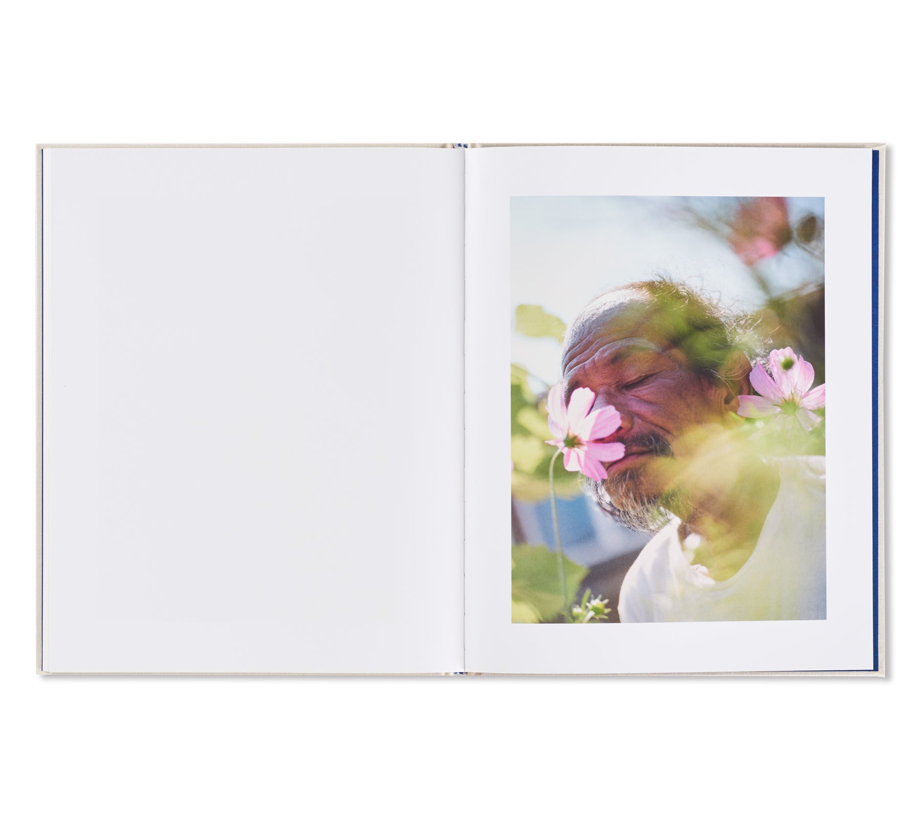 SUBSCRIPTION SERIES #6 by Guido Guidi, Jason Fulford, Gregory Halpern, Viviane Sassen