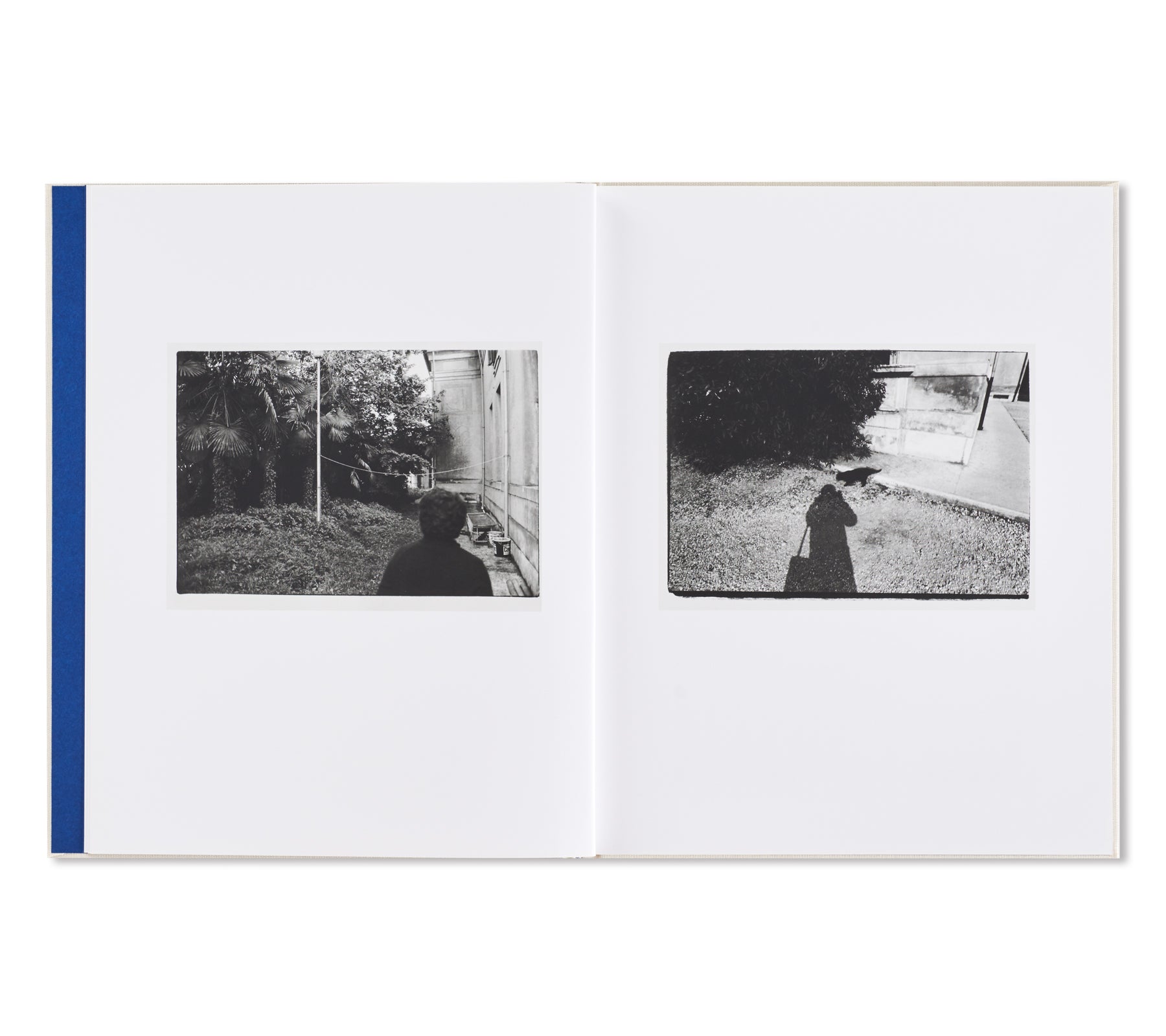 SUBSCRIPTION SERIES #6 by Guido Guidi, Jason Fulford, Gregory Halpern, Viviane Sassen