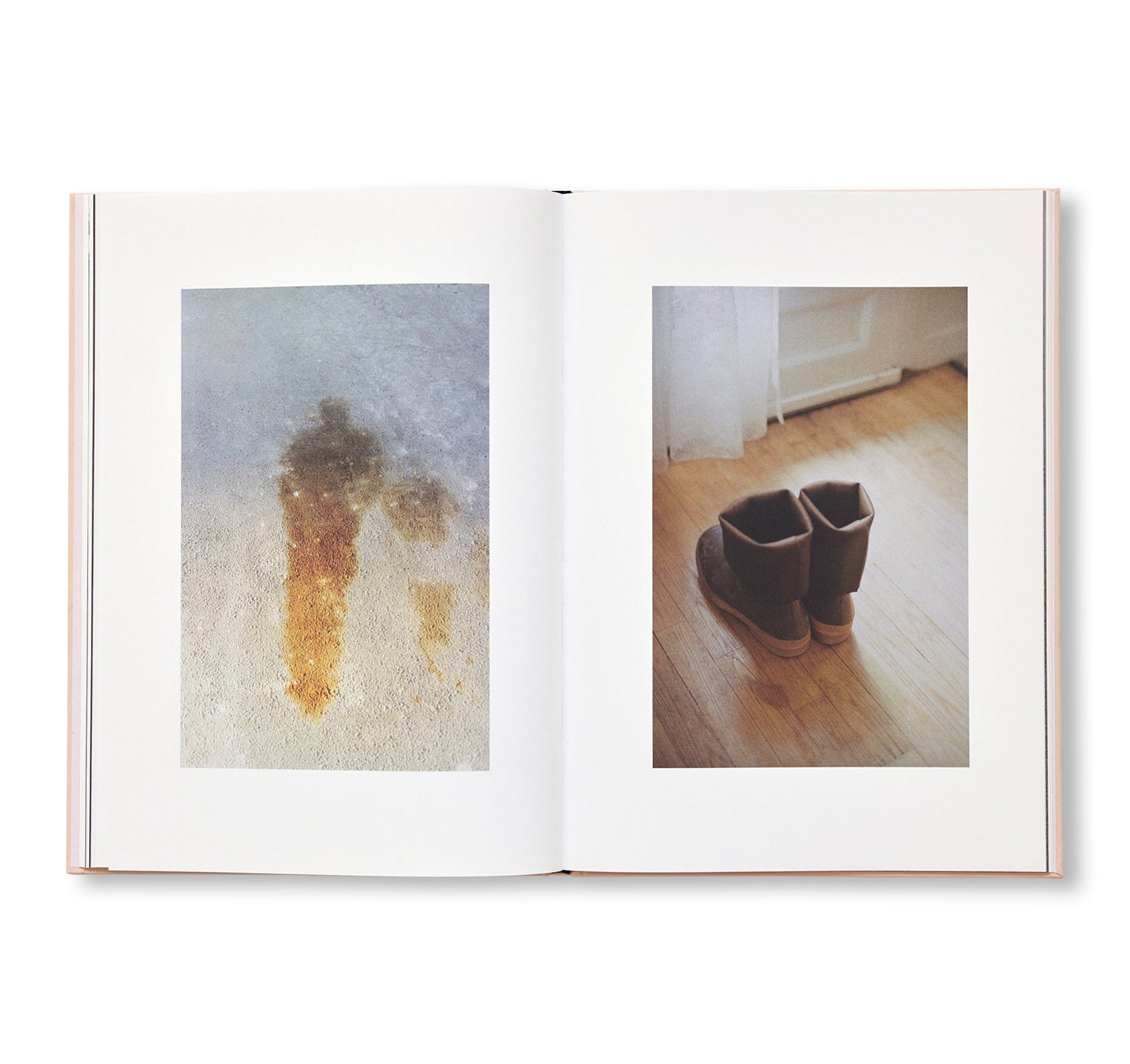 THE CLOUD, THE BIRD AND THE PUDDLE by Ola Rindal [SIGNED]