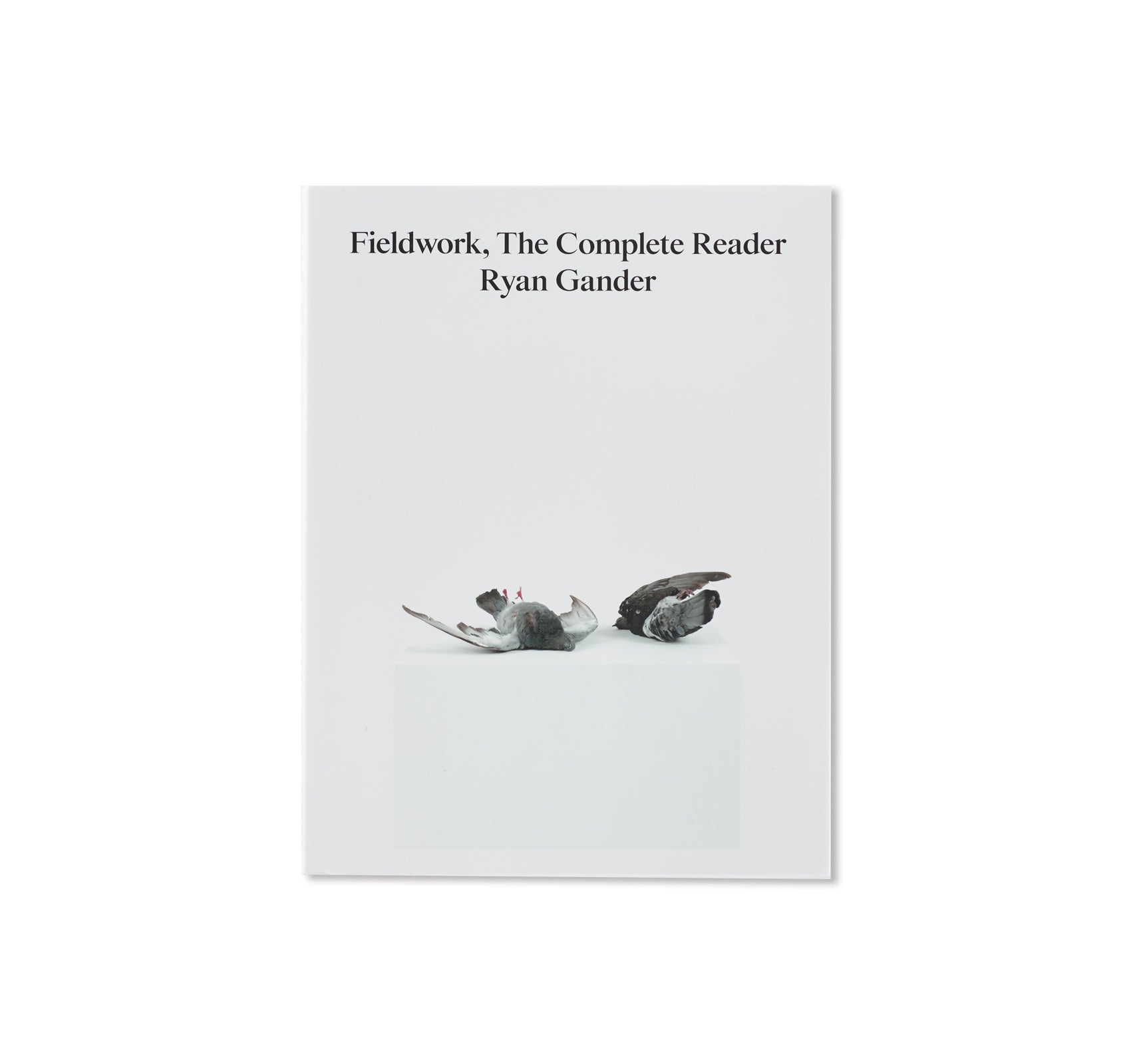 FIELDWORK, THE COMPLETE READER by Ryan Gander