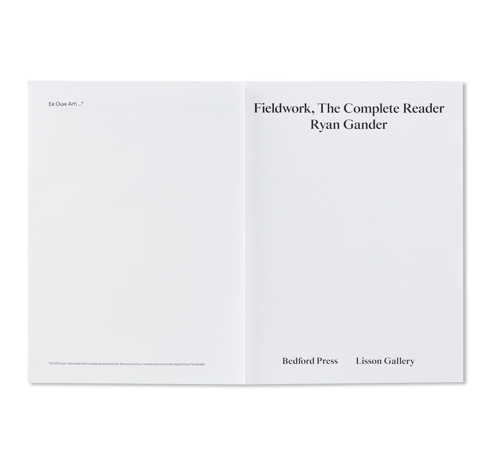 FIELDWORK, THE COMPLETE READER by Ryan Gander