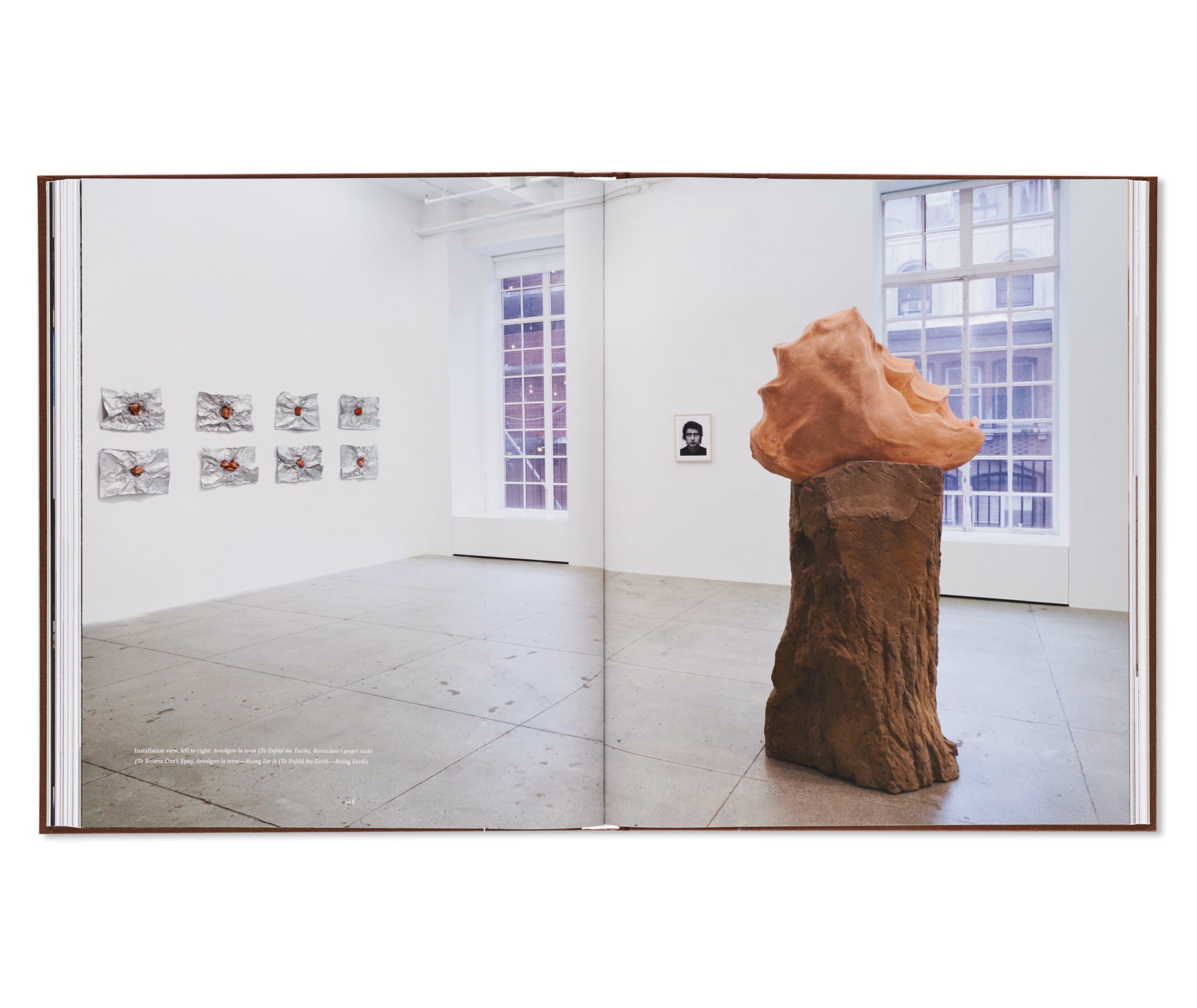 FROM ARTE POVERA by Giulio Paolini, Giuseppe Penone, Luciano Fabro