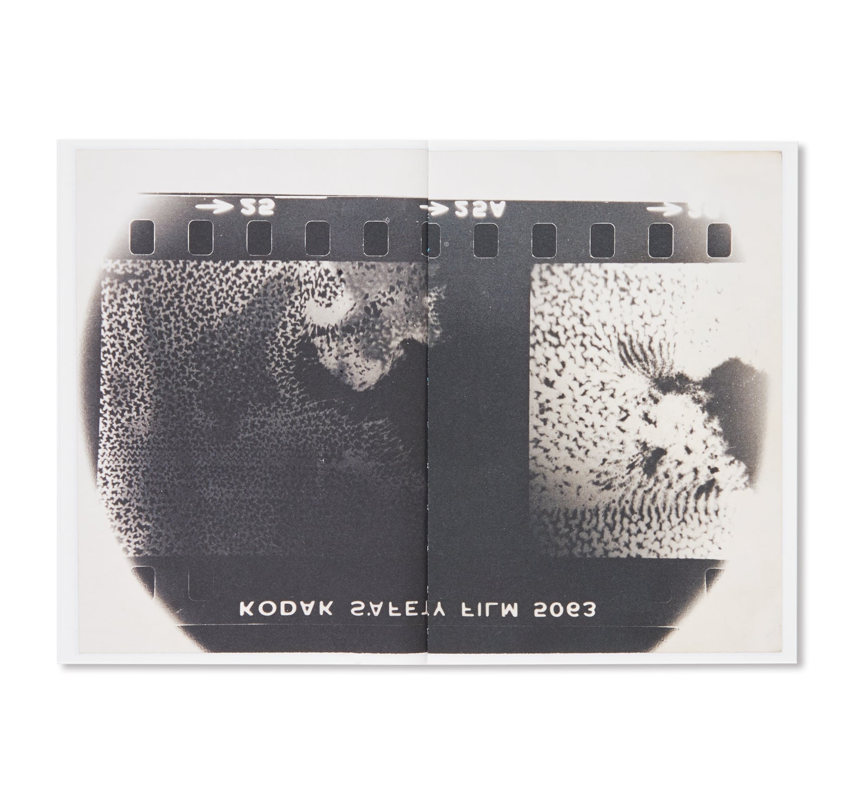 SIGMAR POLKE'S PHOTOGRAPHIC INFAMIES by Sigmar Polke