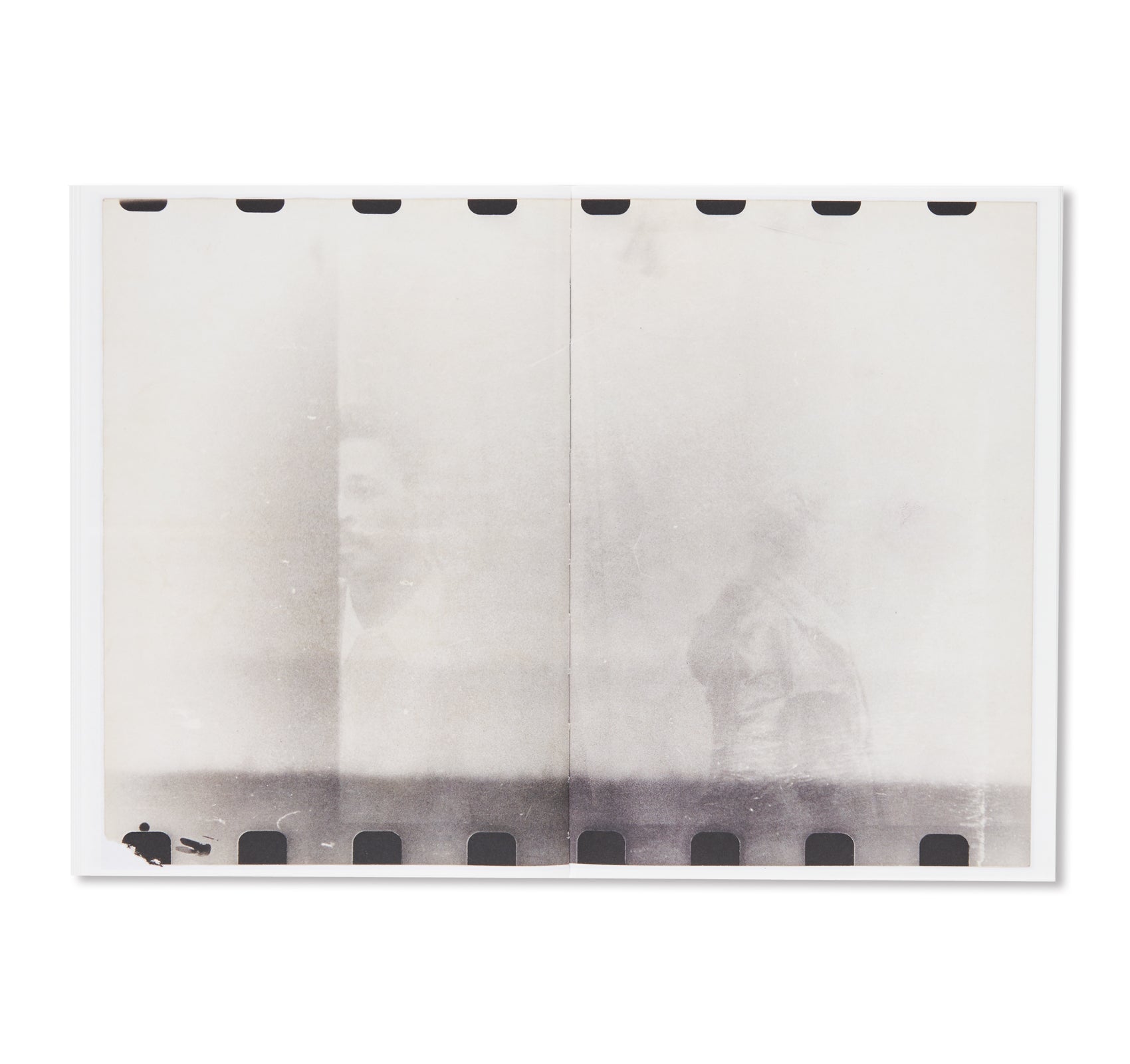 SIGMAR POLKE'S PHOTOGRAPHIC INFAMIES by Sigmar Polke