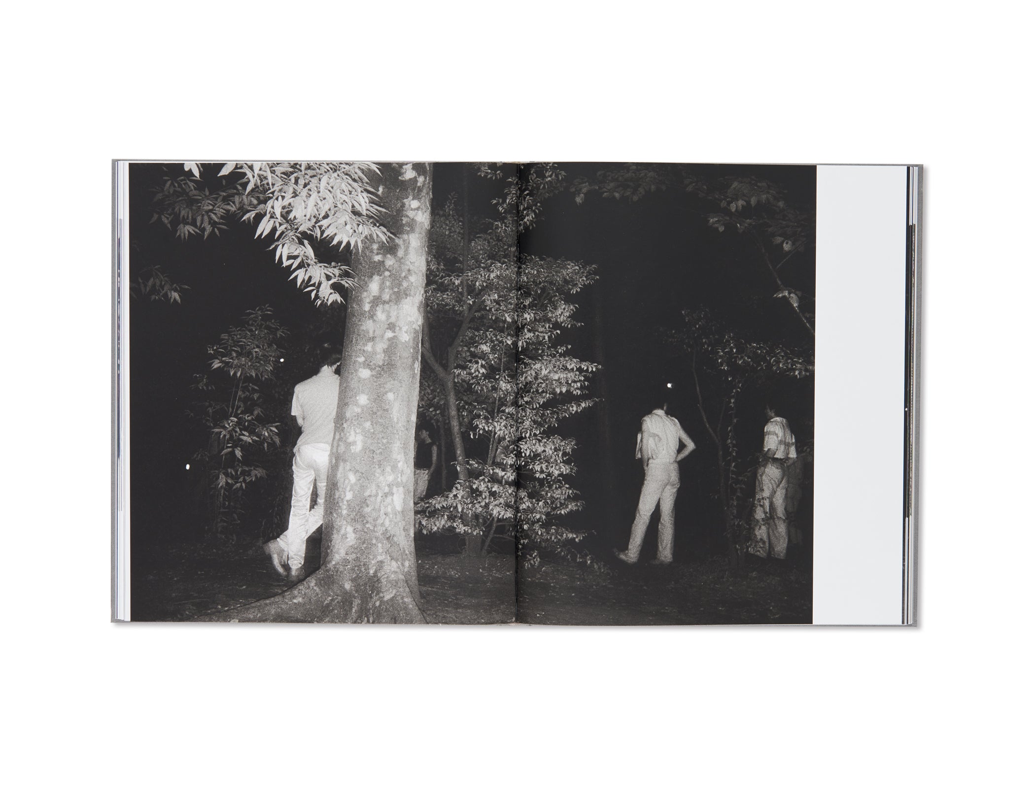 THE PARK by Kohei Yoshiyuki [SPECIAL EDITION]