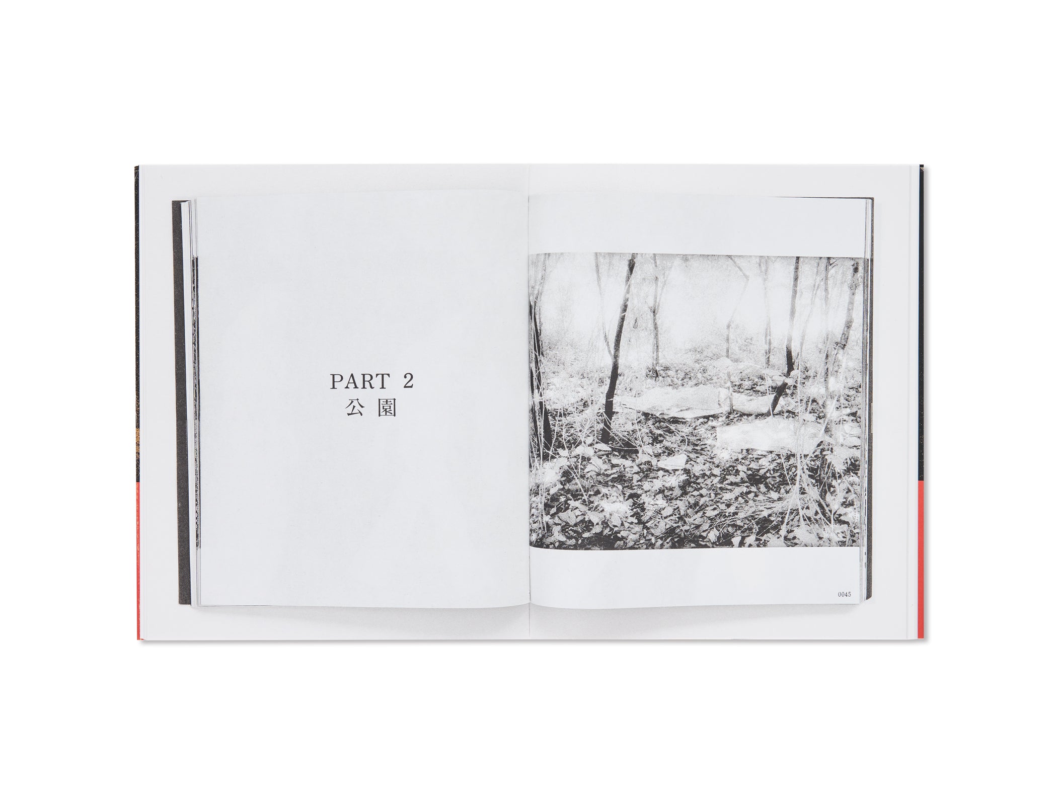 THE PARK by Kohei Yoshiyuki [SPECIAL EDITION]