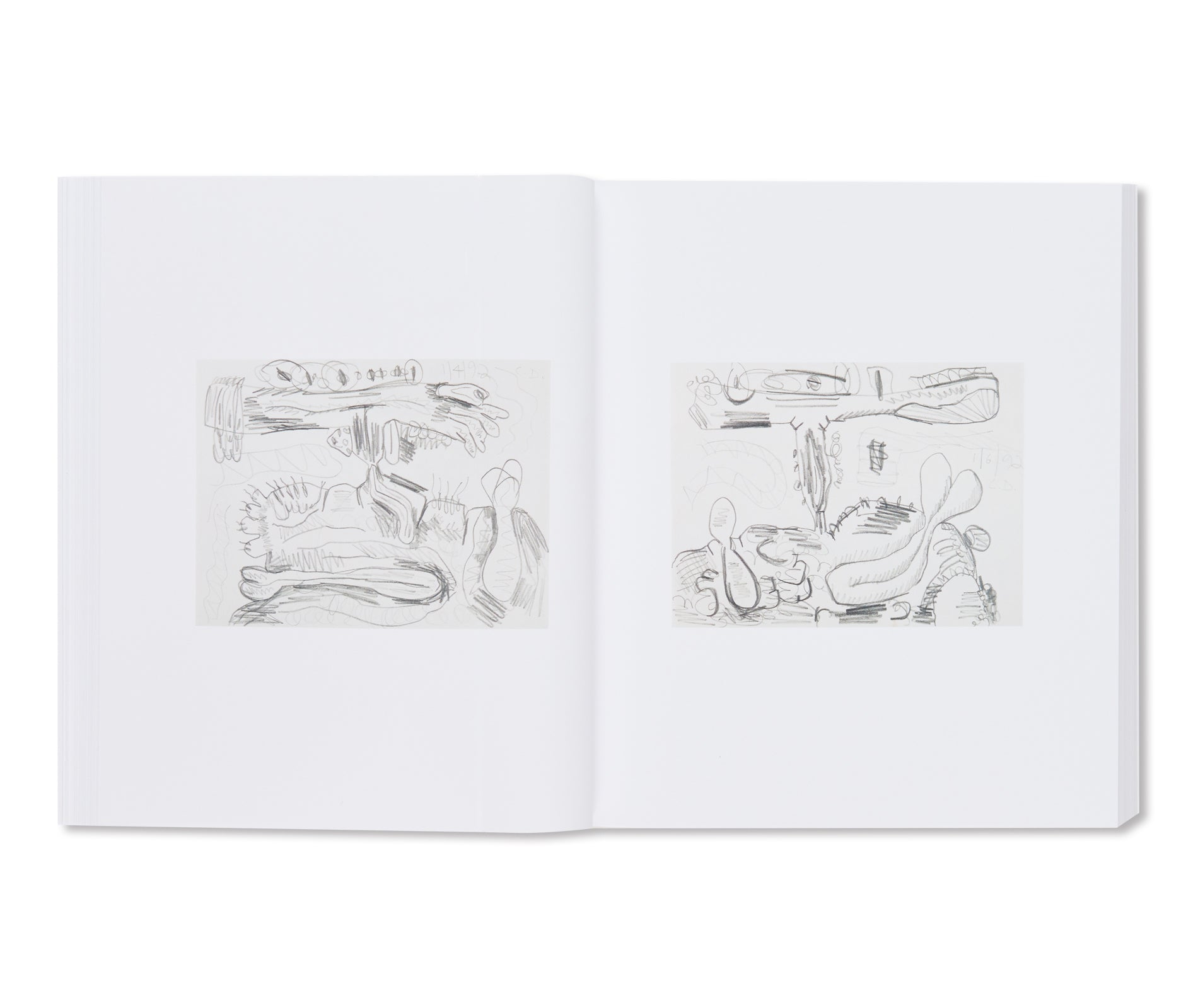 A DRAWING SURVEY by Carroll Dunham