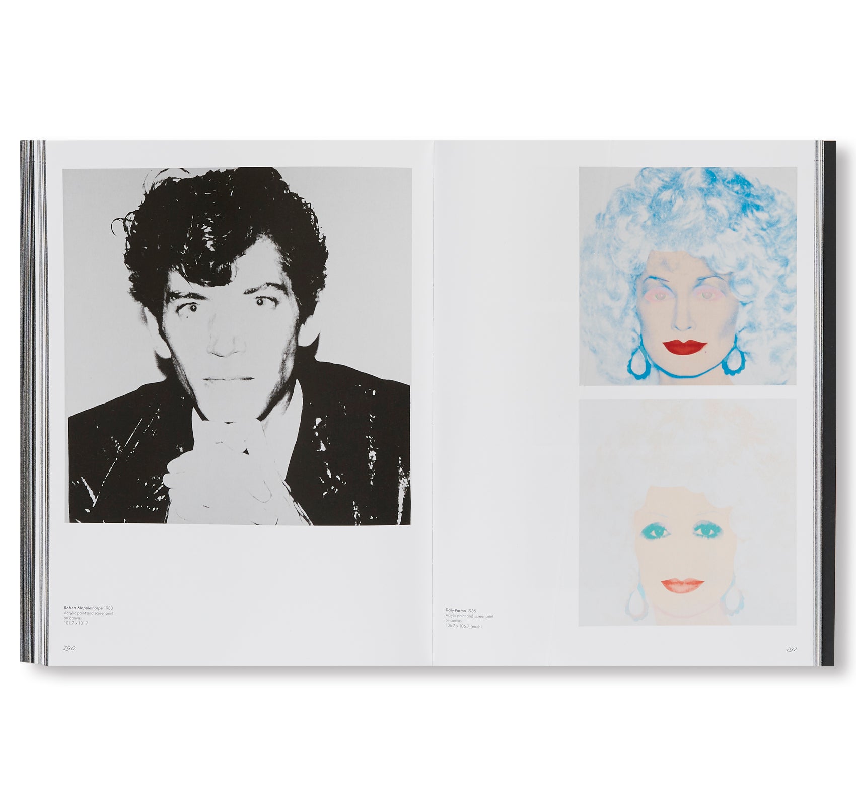 ANDY WARHOL by Andy Warhol [SOFTCOVER]