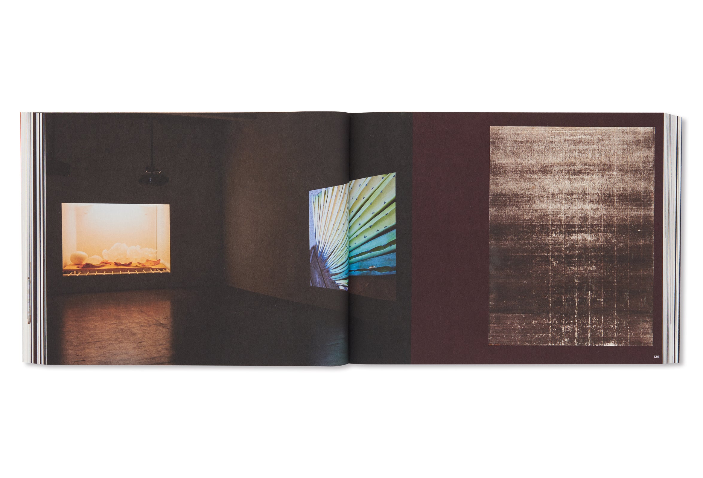 TODAY IS THE FIRST DAY by Wolfgang Tillmans