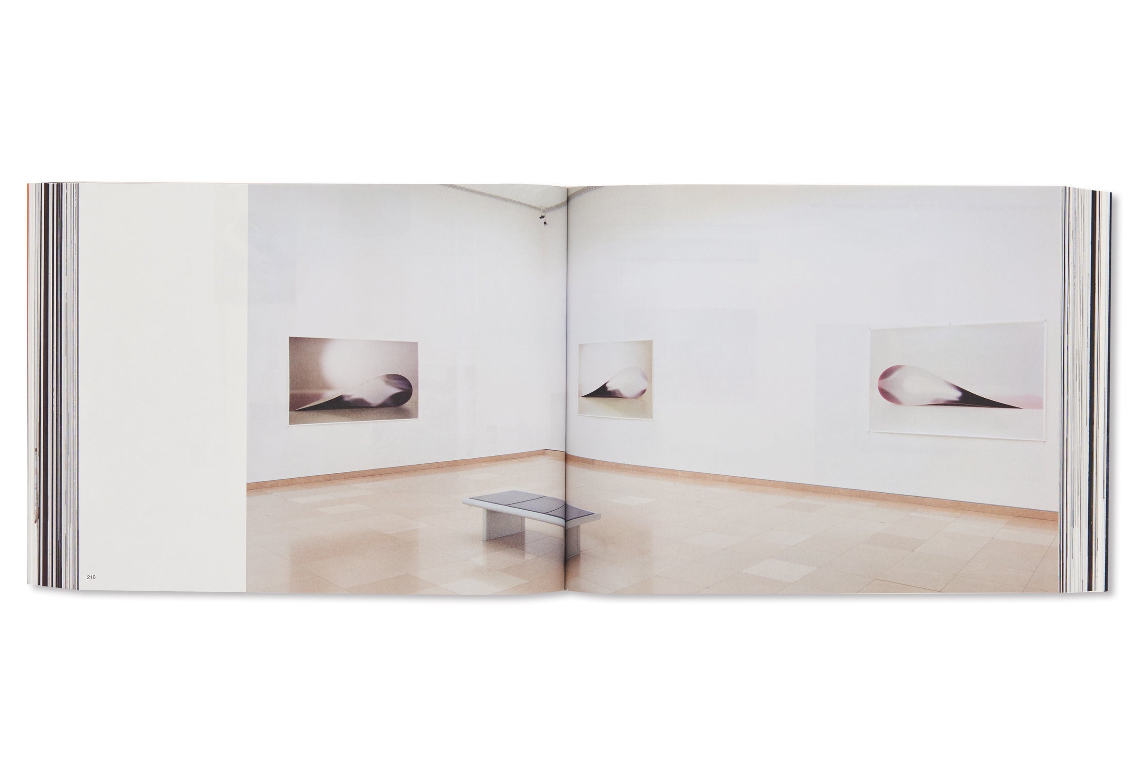 TODAY IS THE FIRST DAY by Wolfgang Tillmans