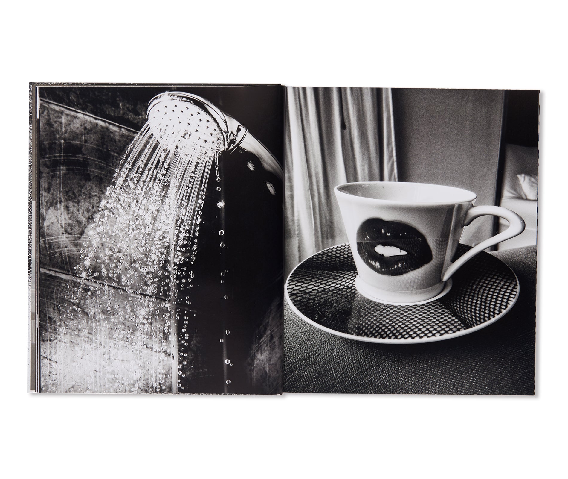 A DIARY - HASSELBLAD AWARD 2019 by Daido Moriyama